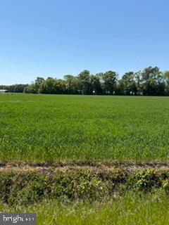 LOT #14 TOWER ROAD