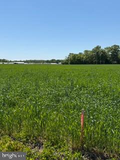 LOT #14 TOWER ROAD