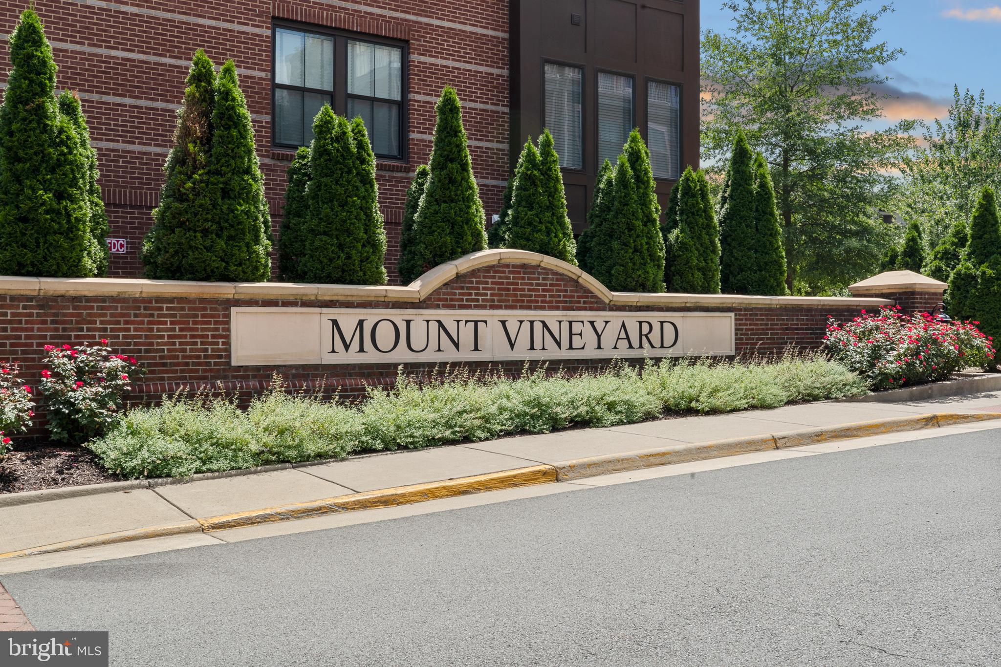 MOUNT VINEYARD - Residential