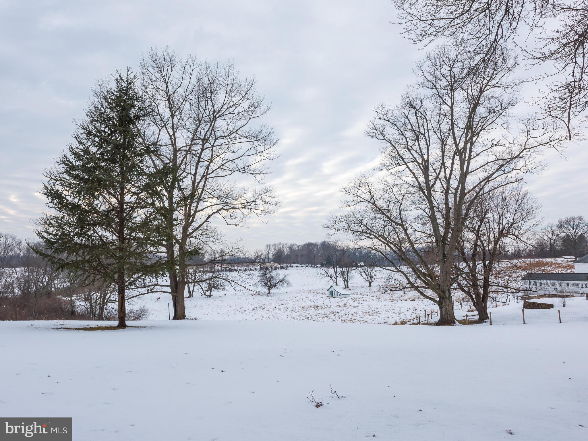 RADNOR HUNT - Residential