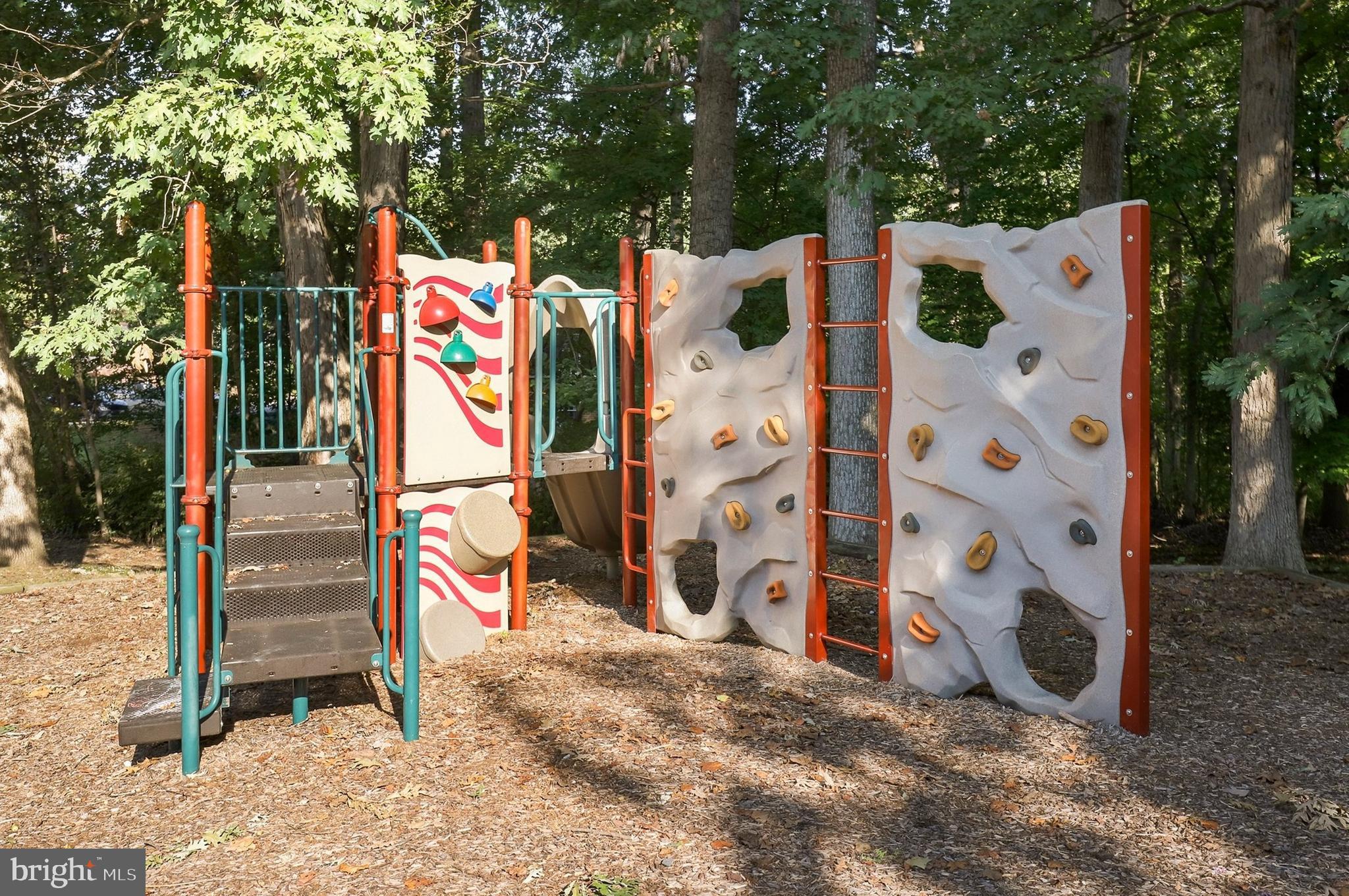 CARDINAL FOREST - Residential