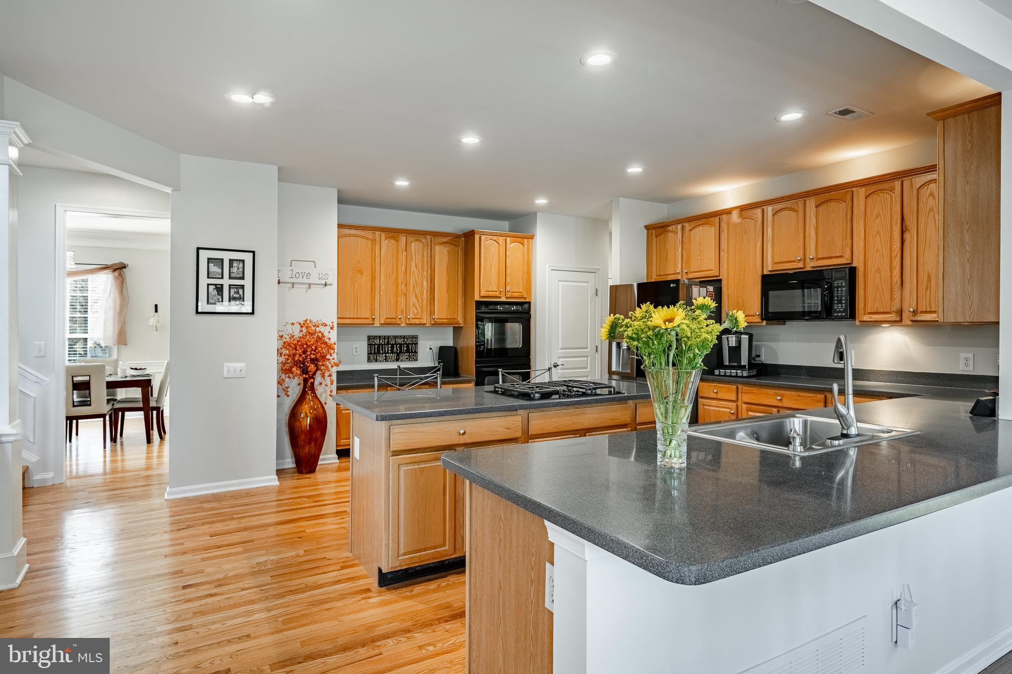 EAGLE HUNT - Residential