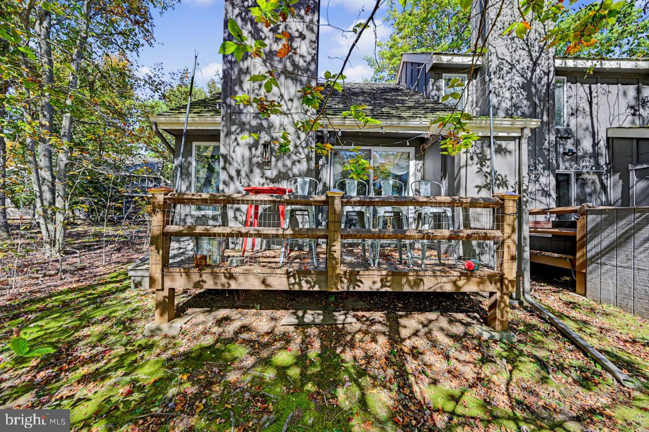 29 SNOW SHOE