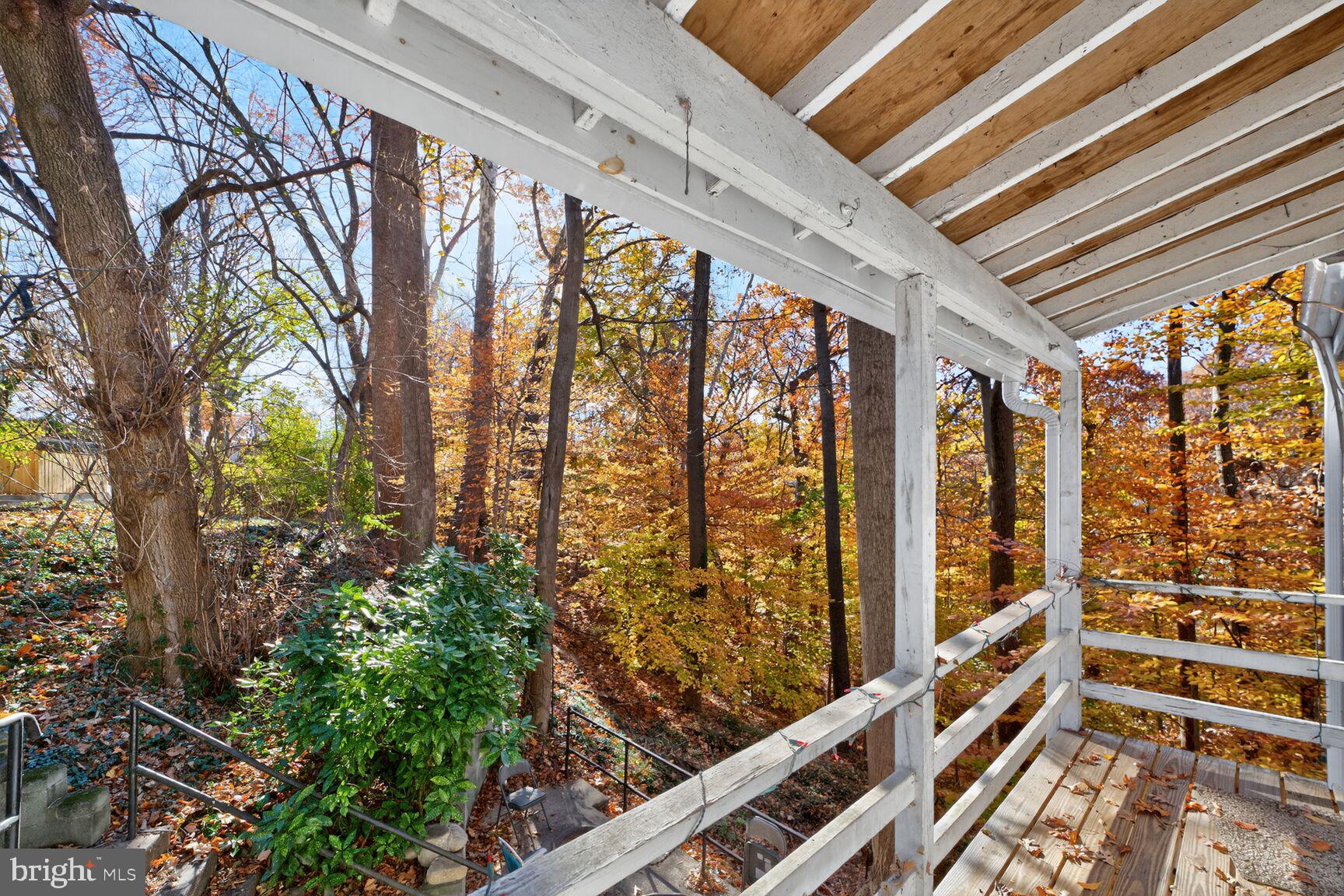 TAKOMA PARK - Residential Lease