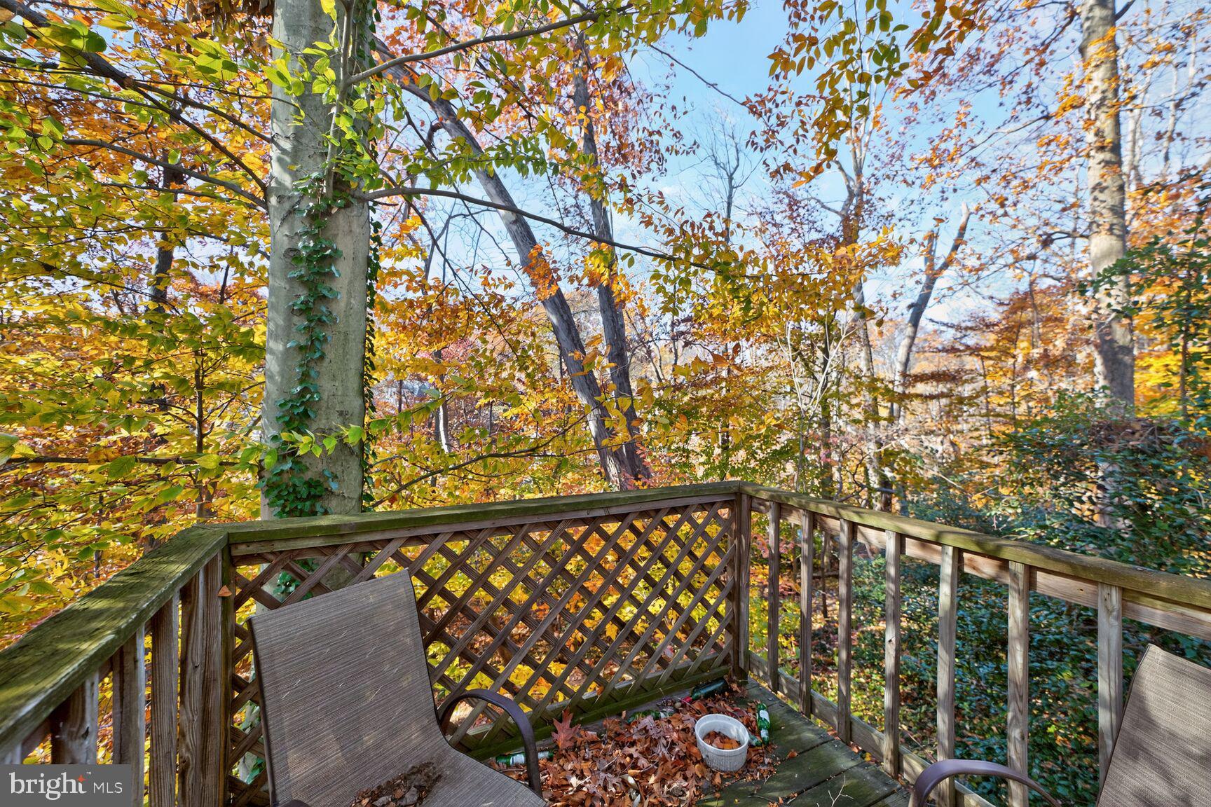 TAKOMA PARK - Residential Lease