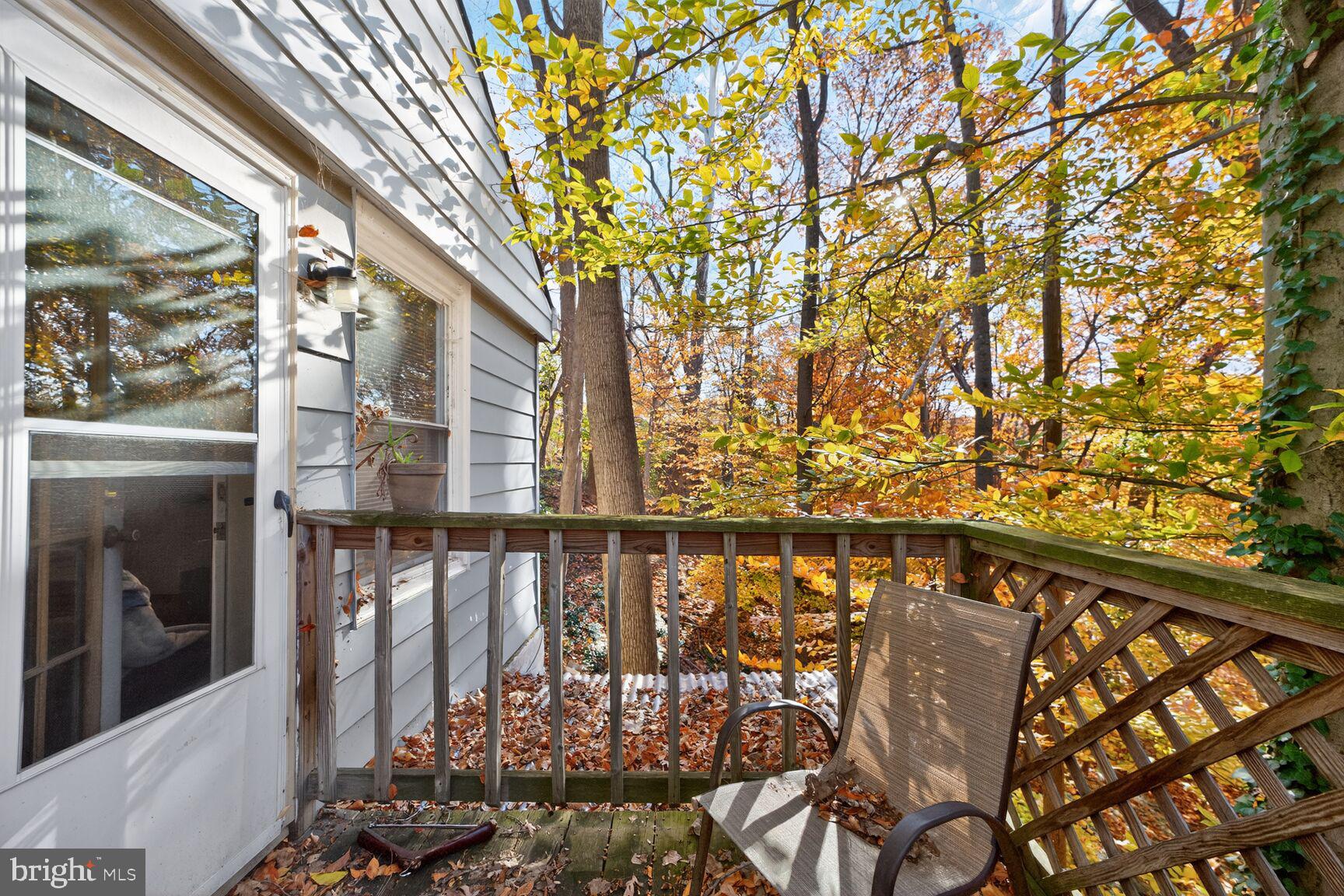 TAKOMA PARK - Residential Lease