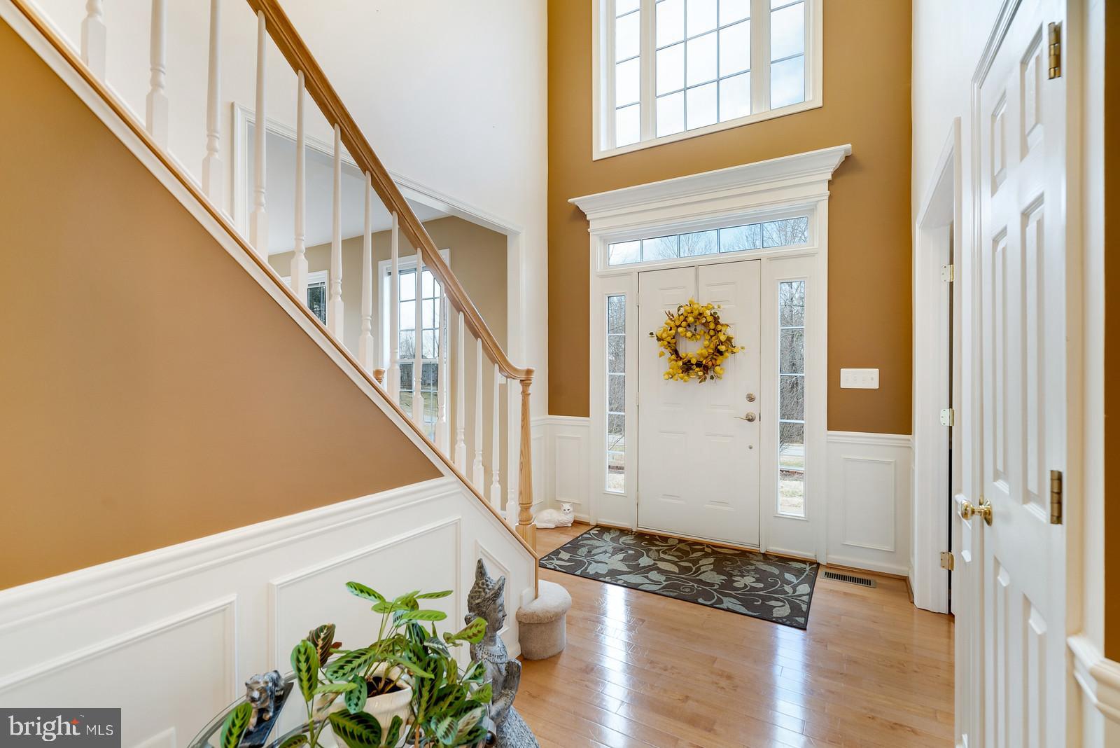 FOX CHASE - Residential