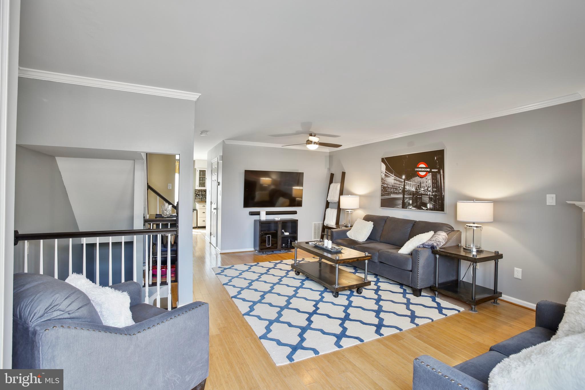 ASHBURN VILLAGE - Residential