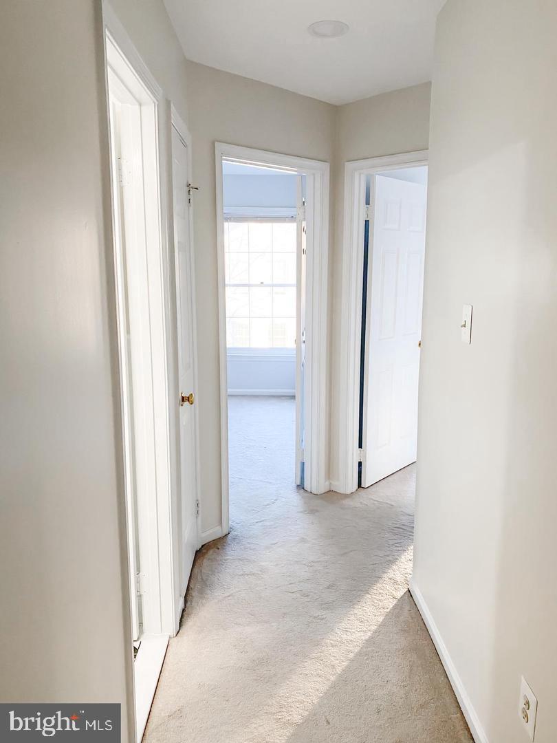 TIMBERLAWN - Residential Lease