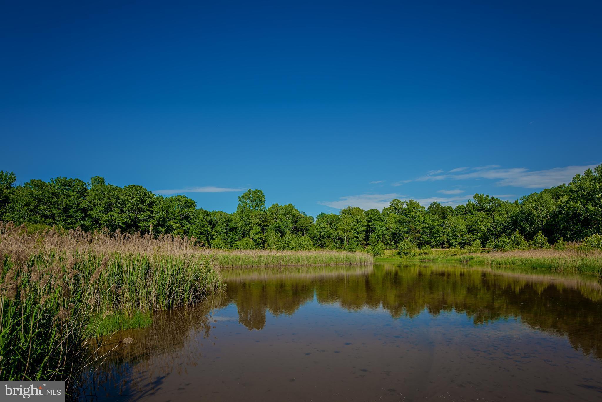 GREENBELT STATION - Residential