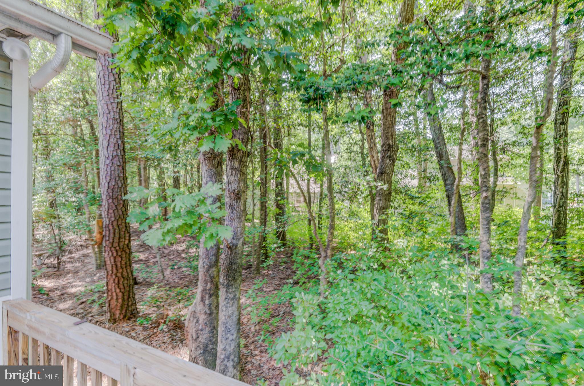 OCEAN PINES - SHERWOOD FOREST - Residential