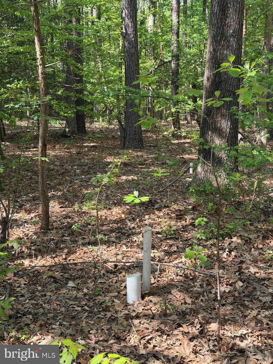 Parcel 15 NEWTON ROAD