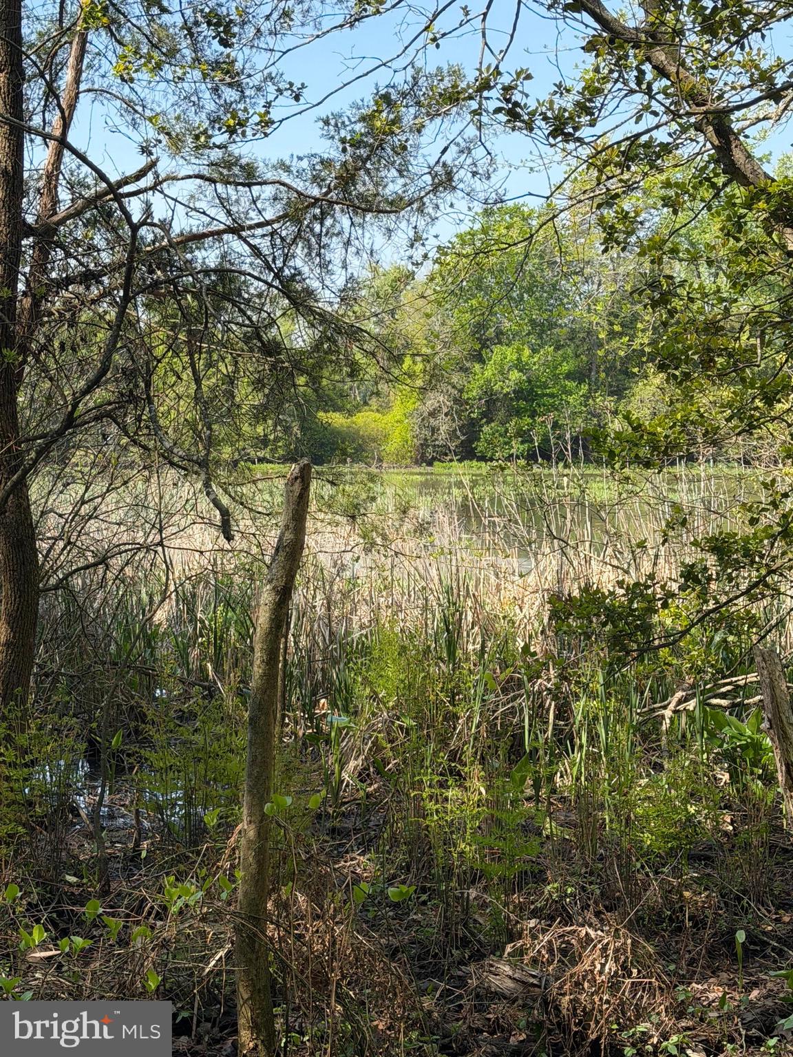 Parcel 15 NEWTON ROAD