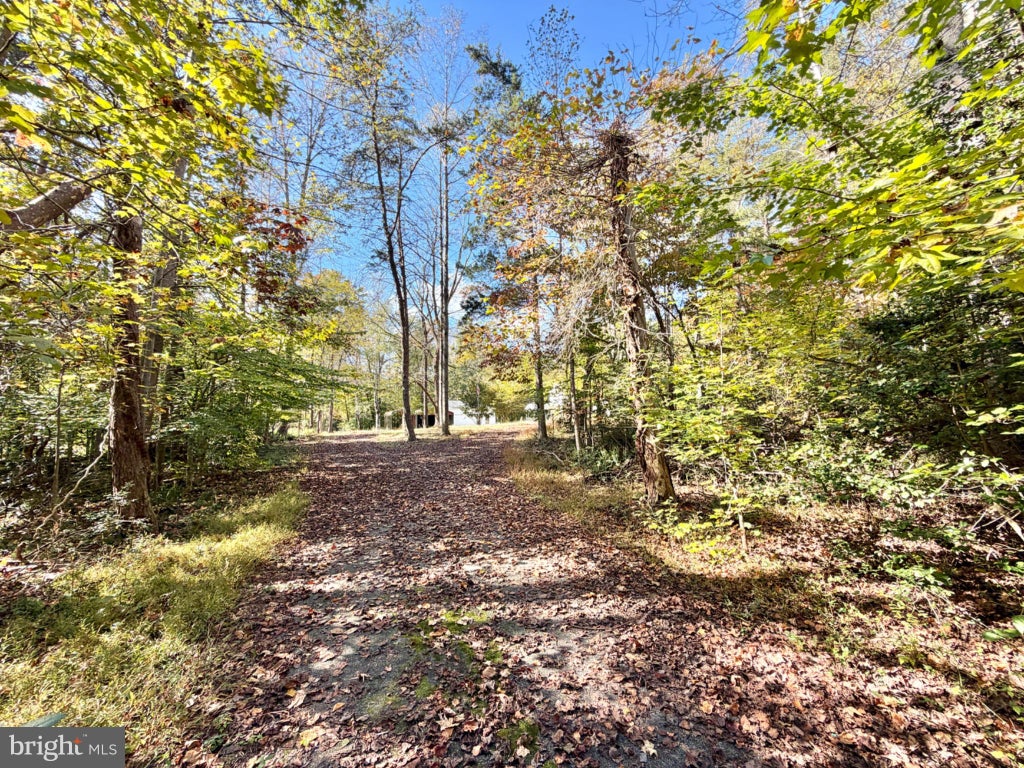 Photo of 11012 Cloverdale Street, FREDERICKSBURG, VA 22407 (MLS # VASP2046924)