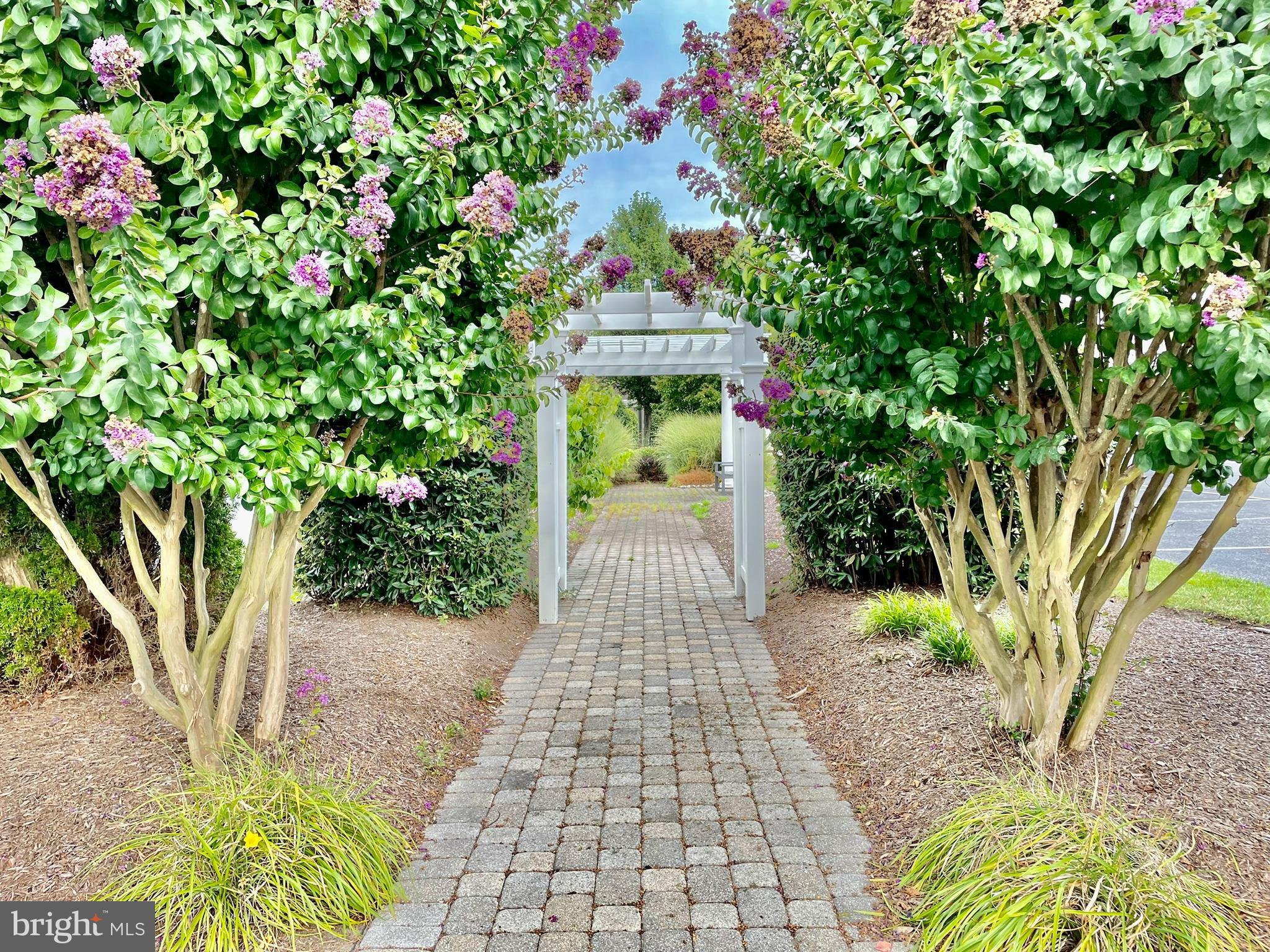 CEDAR BAY - Residential