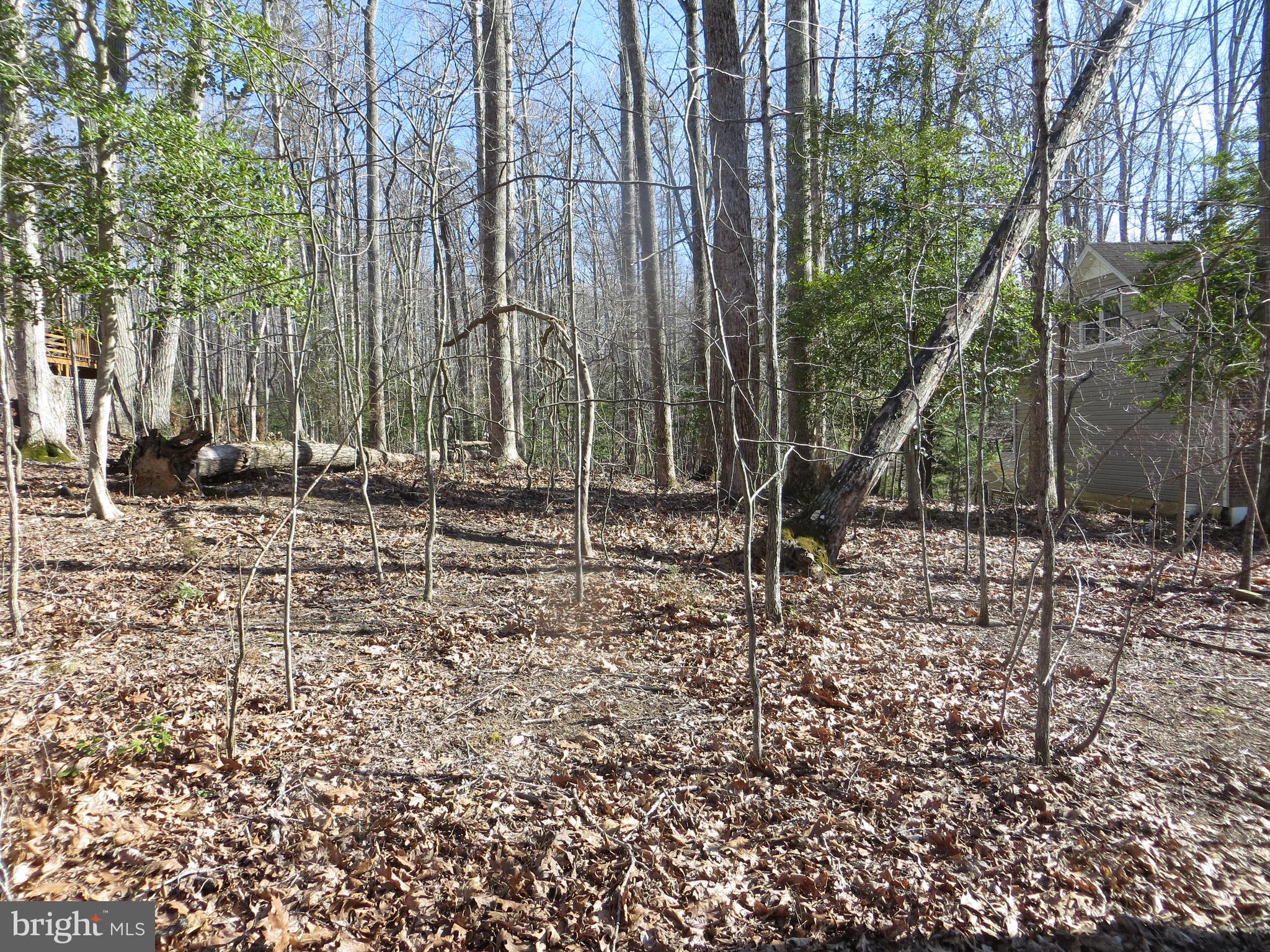 LAKE OF THE WOODS - Land