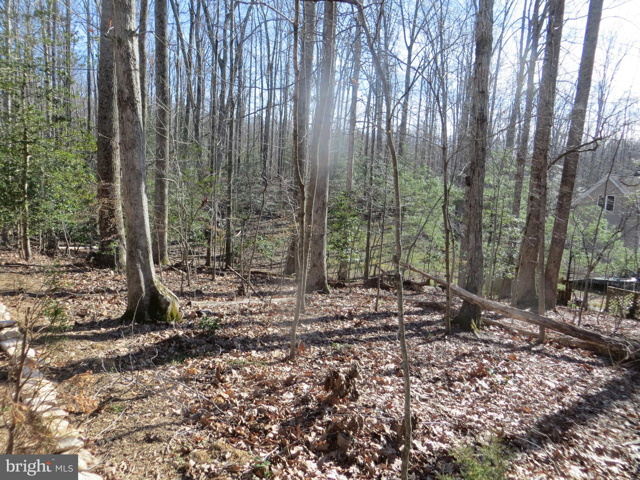 LAKE OF THE WOODS - Land