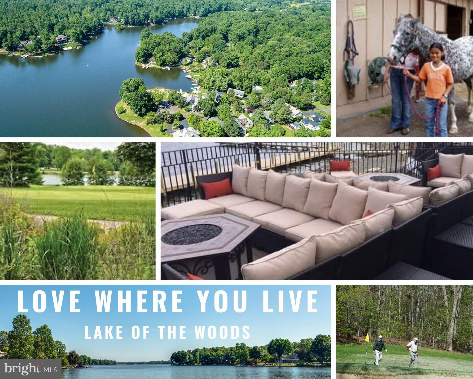 LAKE OF THE WOODS - Land