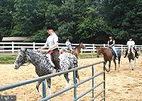 LAKE OF THE WOODS - Land