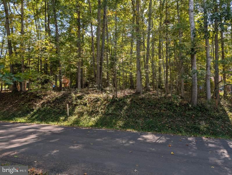 LAKE OF THE WOODS - Land