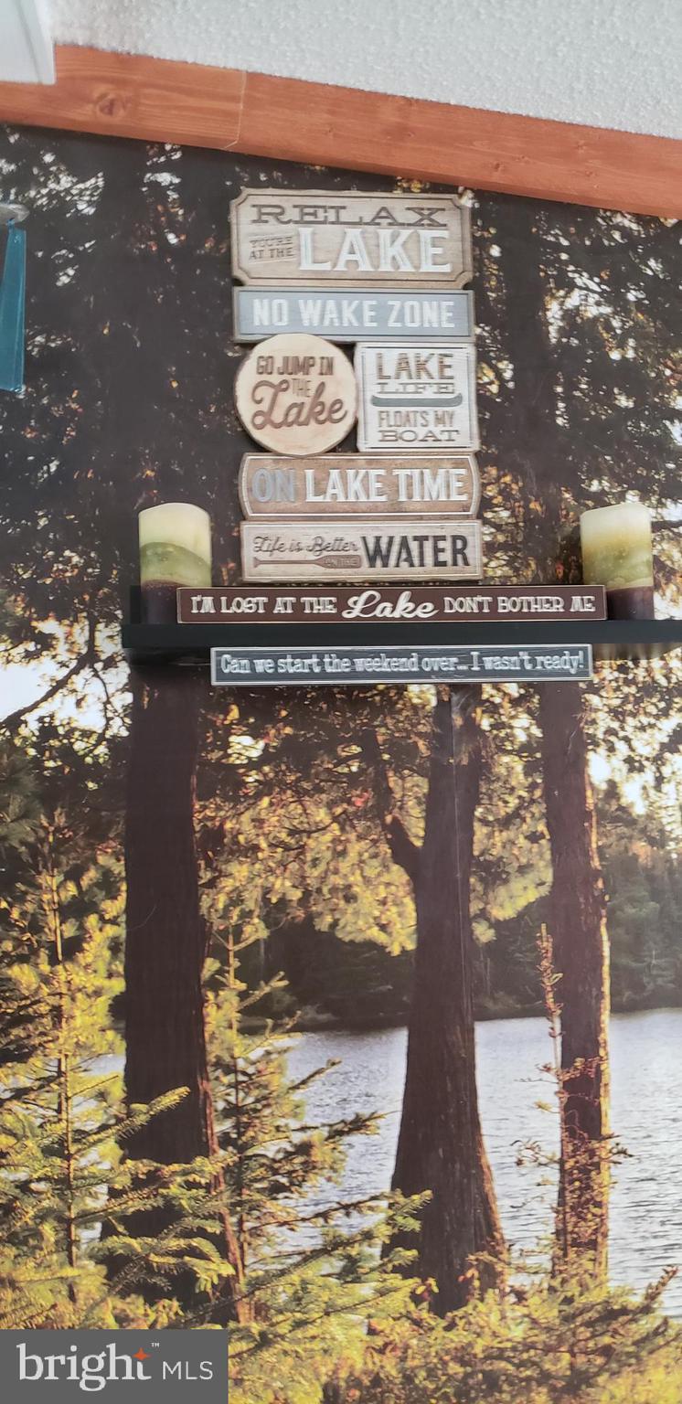 LAKE OF THE WOODS - Land