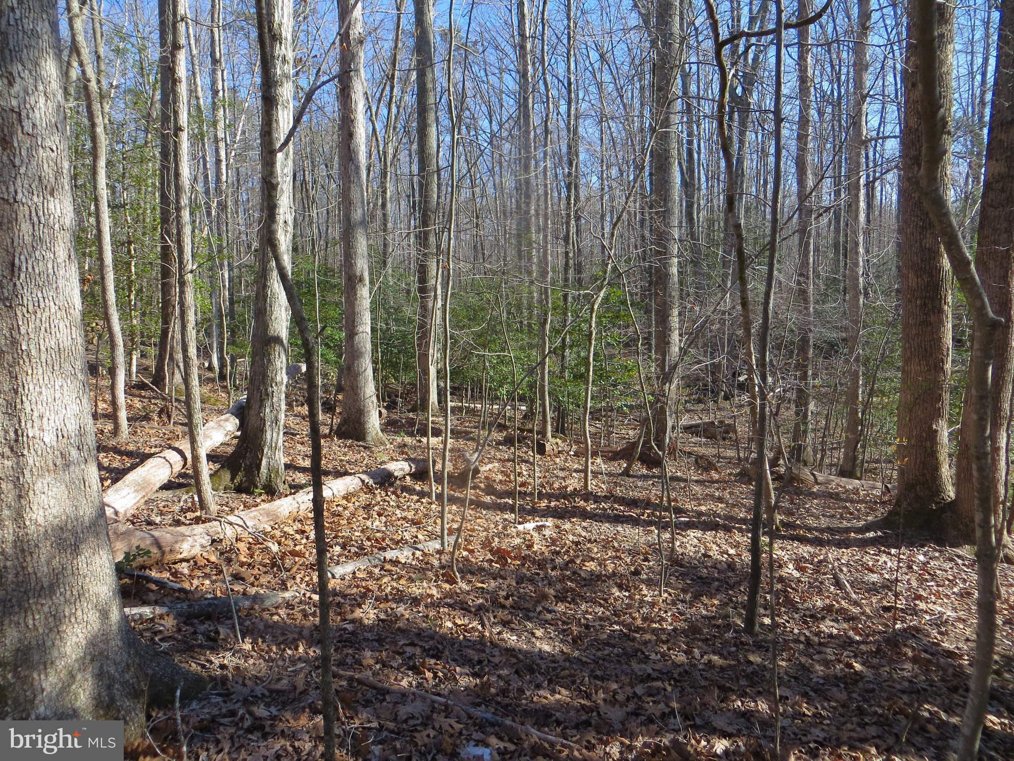 LAKE OF THE WOODS - Land