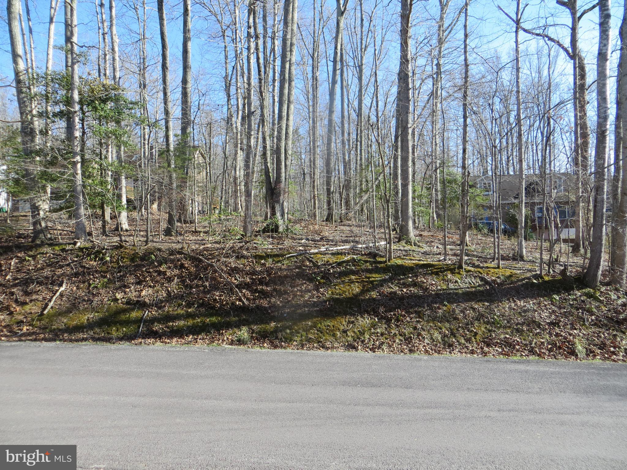 LAKE OF THE WOODS - Land