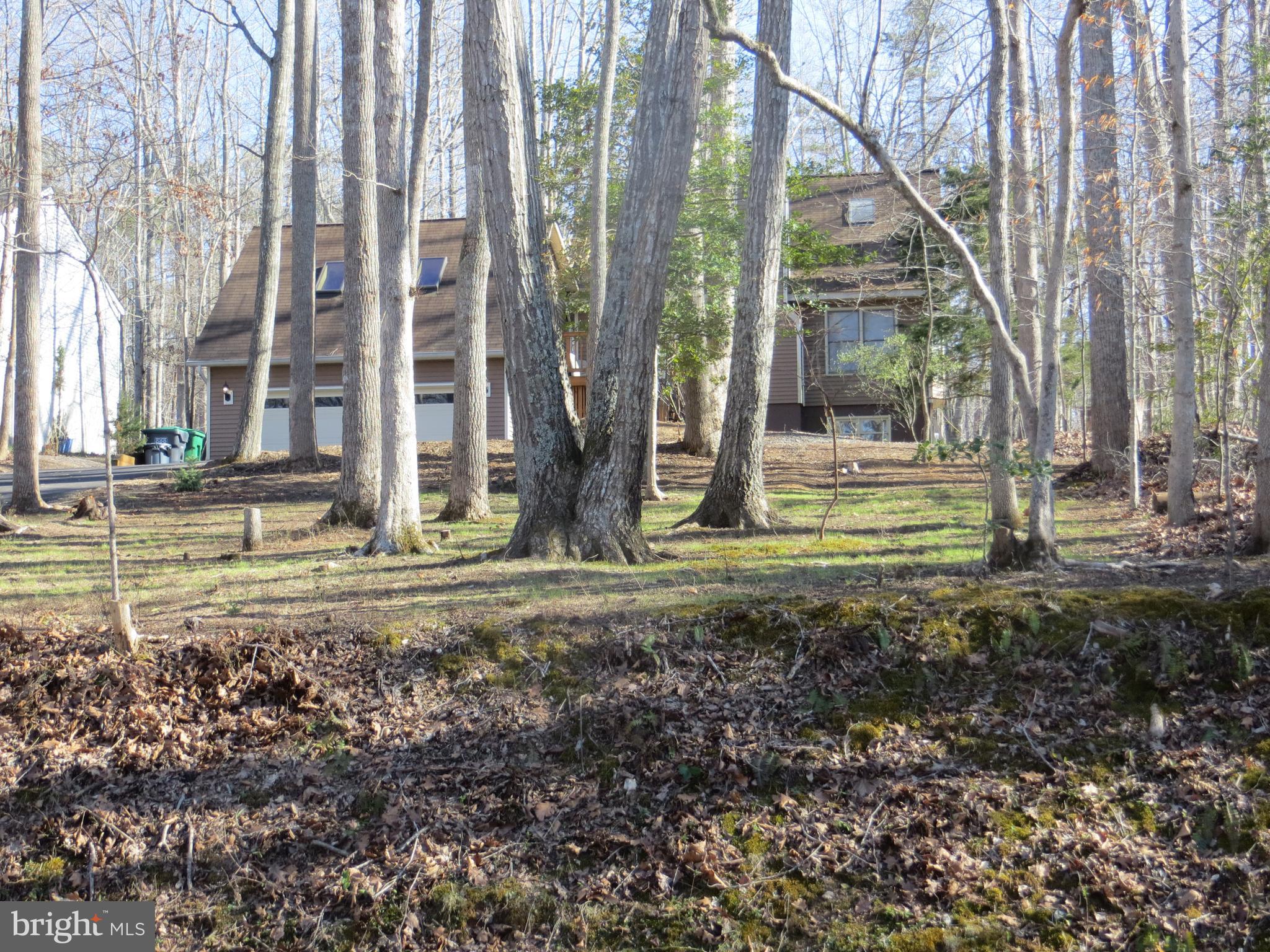 LAKE OF THE WOODS - Land