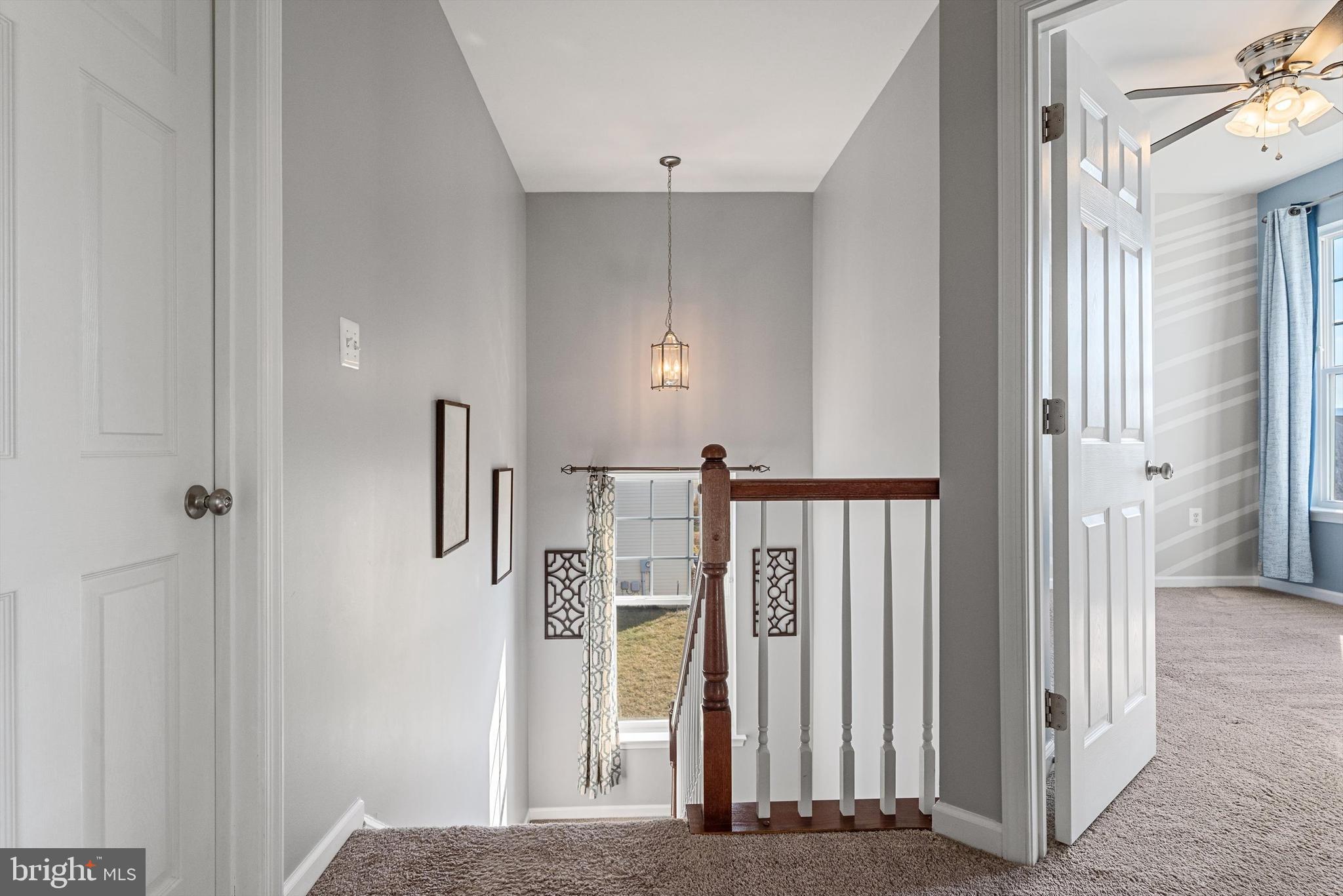 NORBORNE GLEBE - Residential