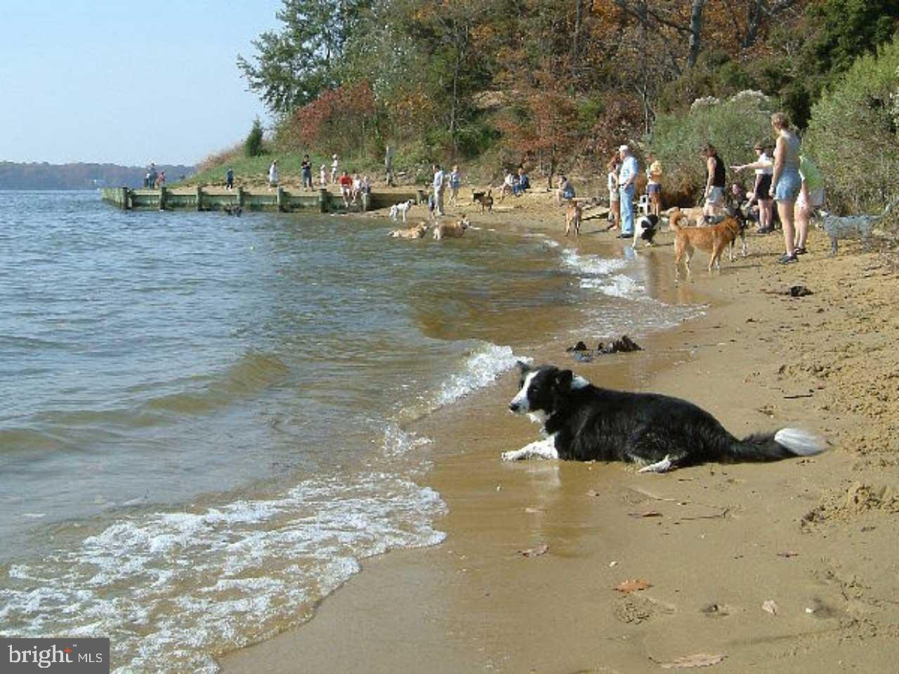 FAIRWINDS ON SEVERN - Residential