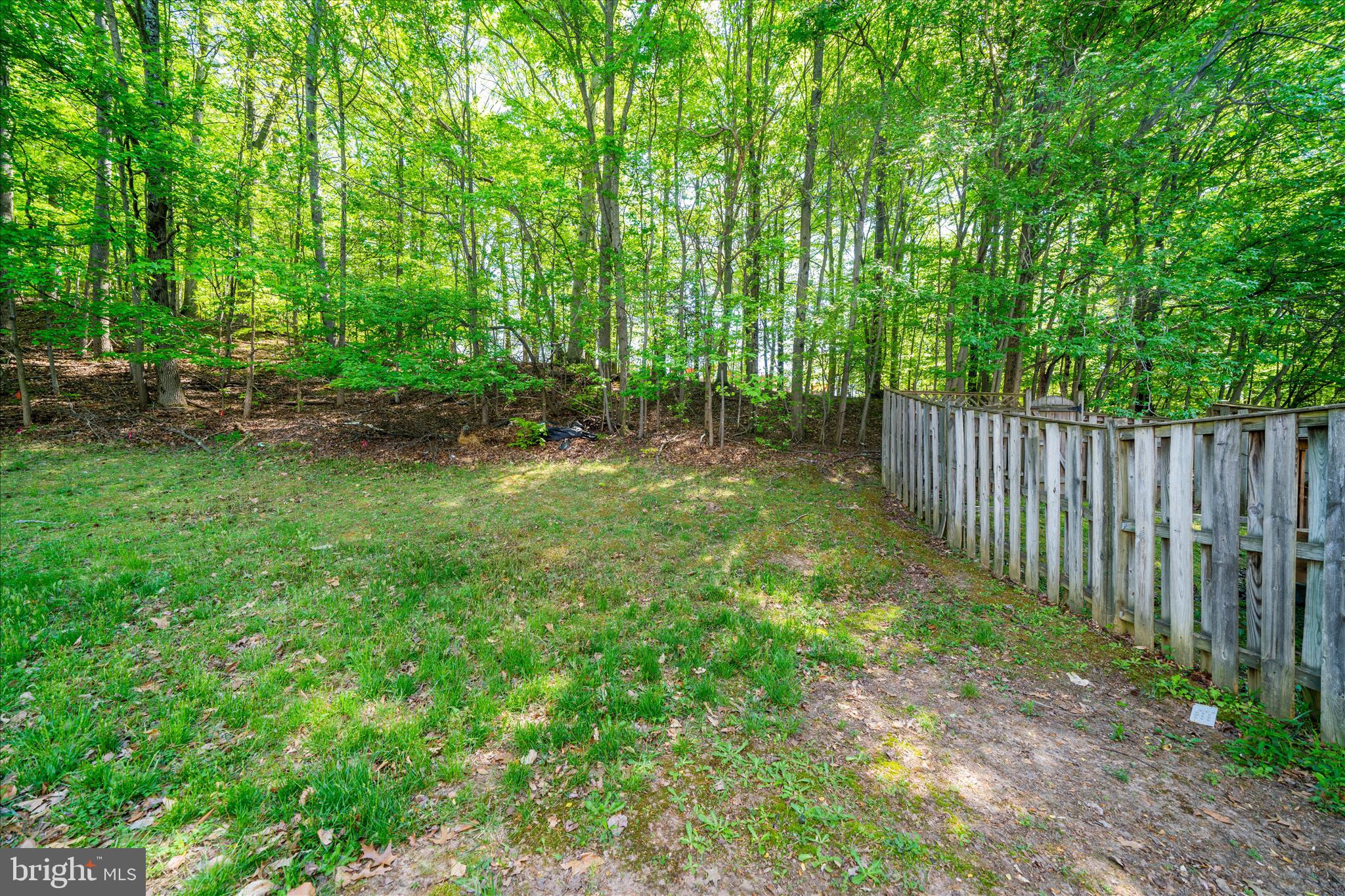 FORESTVILLE PARK - Residential