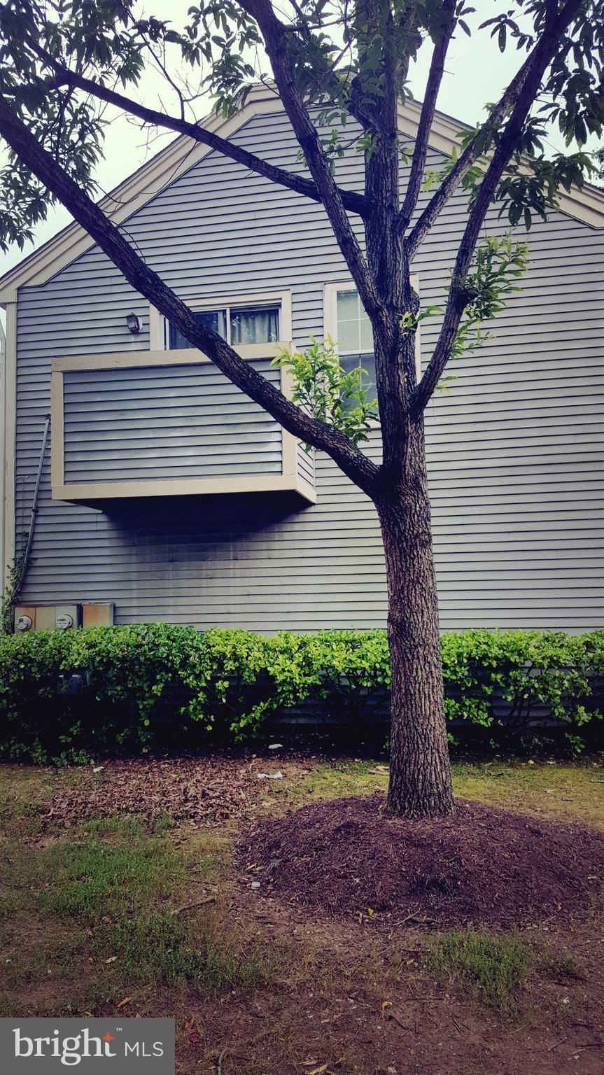 MARLBOROUGH CONDOMINIUM - Residential