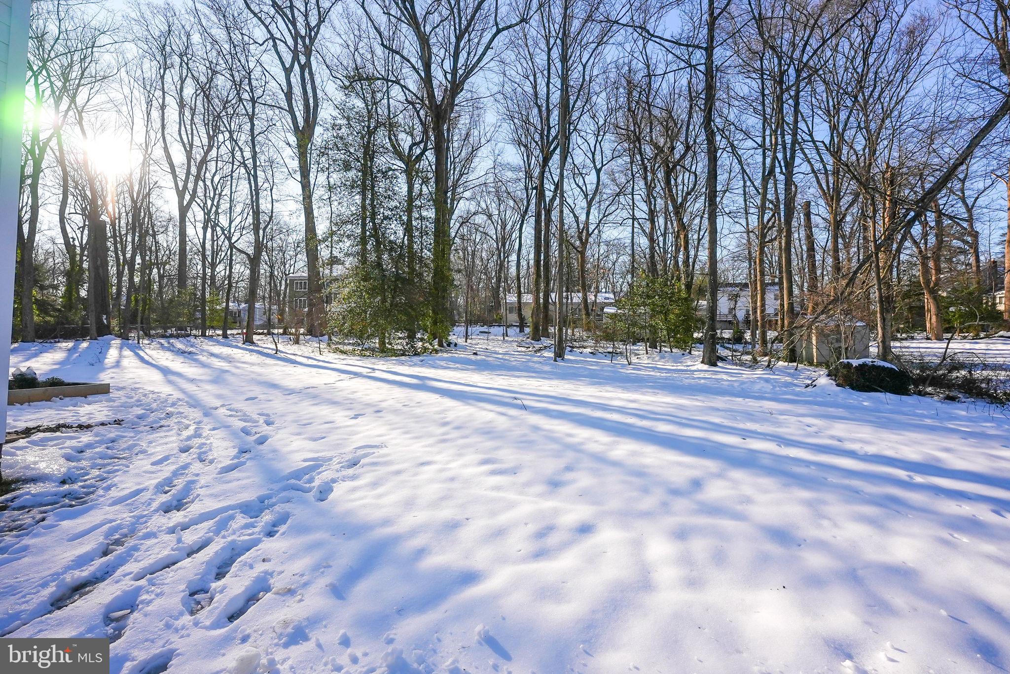 LEE FOREST - Residential