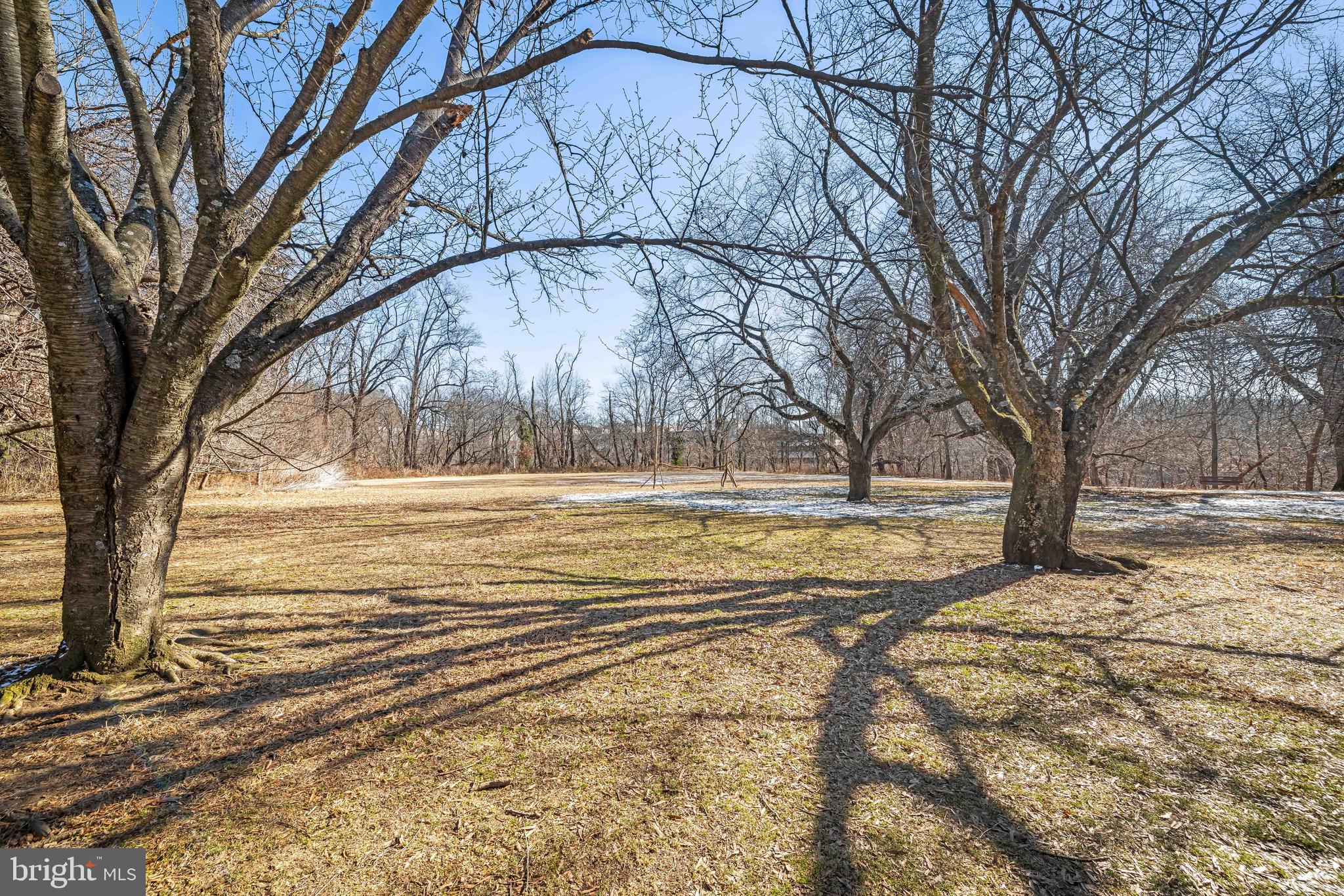 WYMAN PARK HAMPDEN - Residential