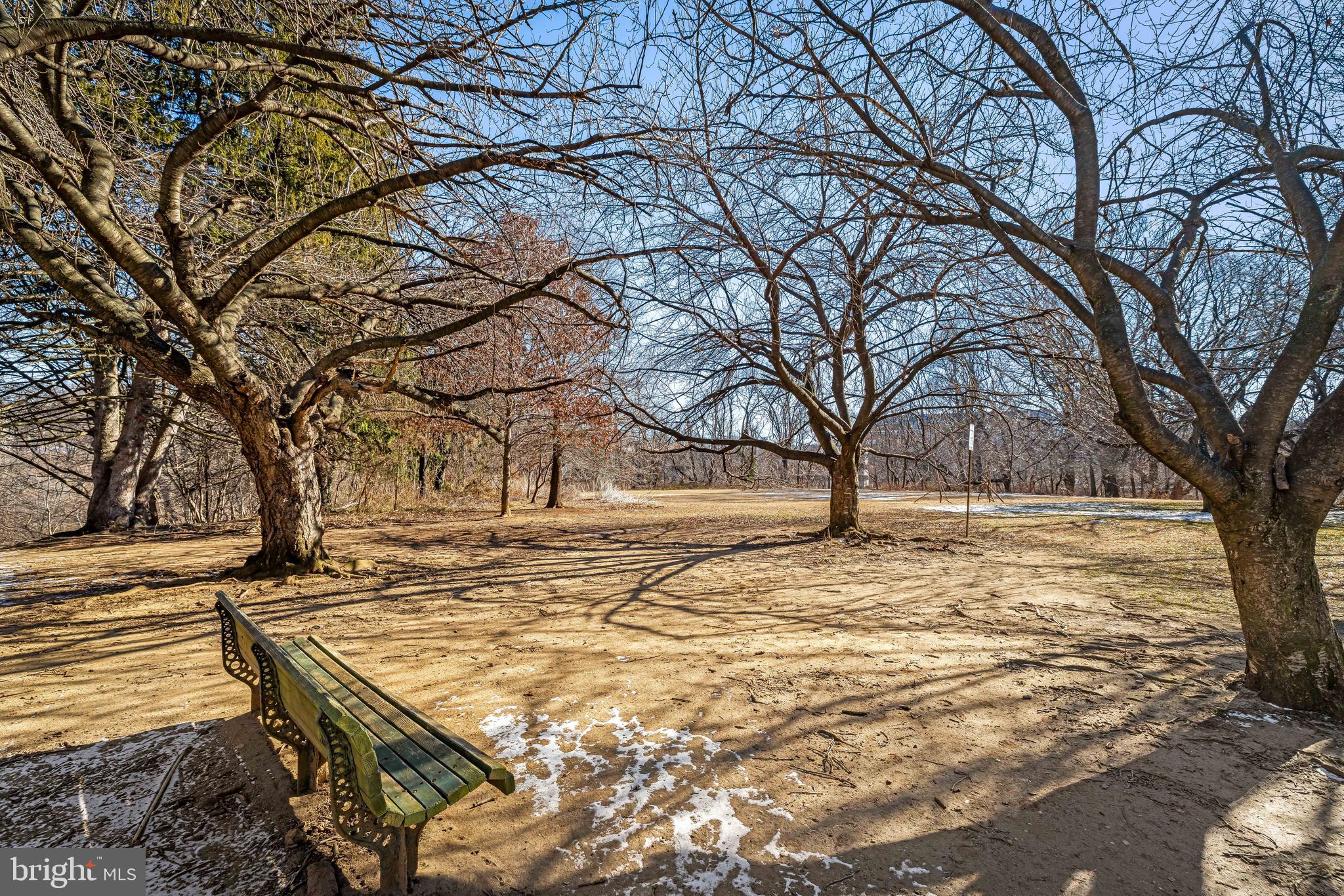 WYMAN PARK HAMPDEN - Residential