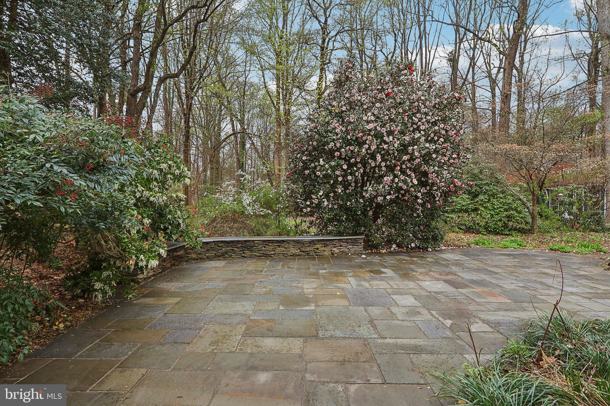 WAKEFIELD FOREST - Residential