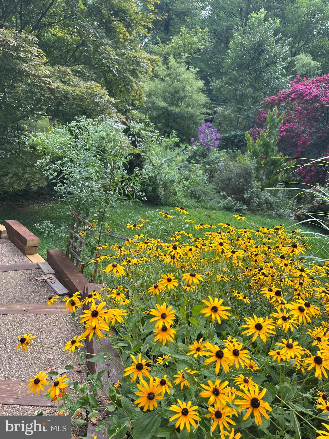 WAKEFIELD FOREST - Residential