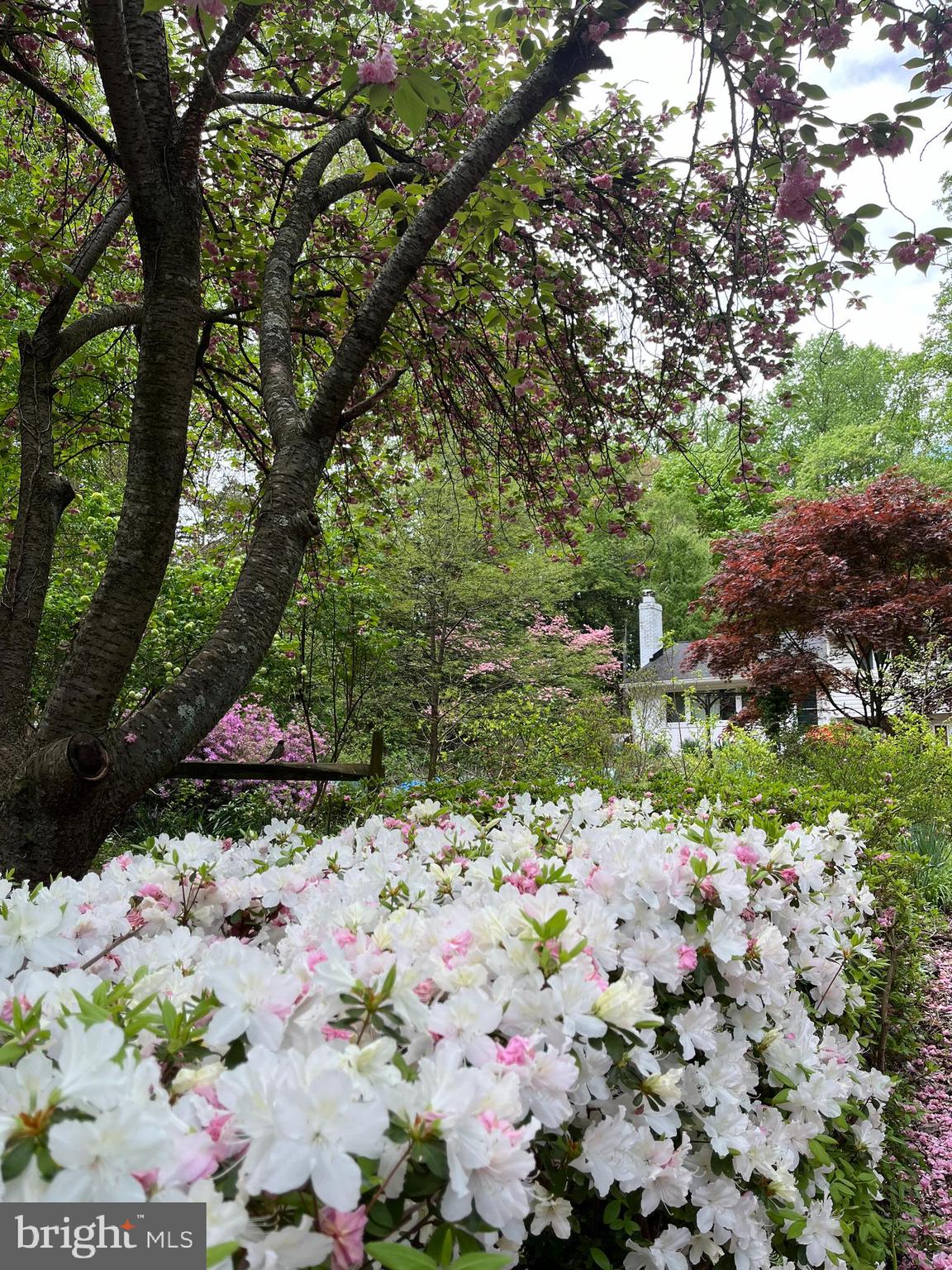 WAKEFIELD FOREST - Residential