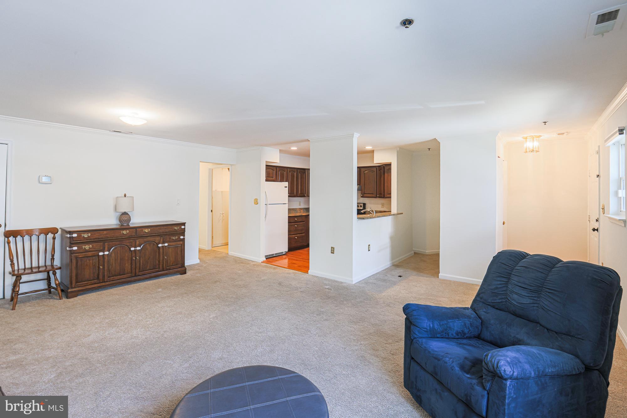 541 MCMANUS WAY C1-541