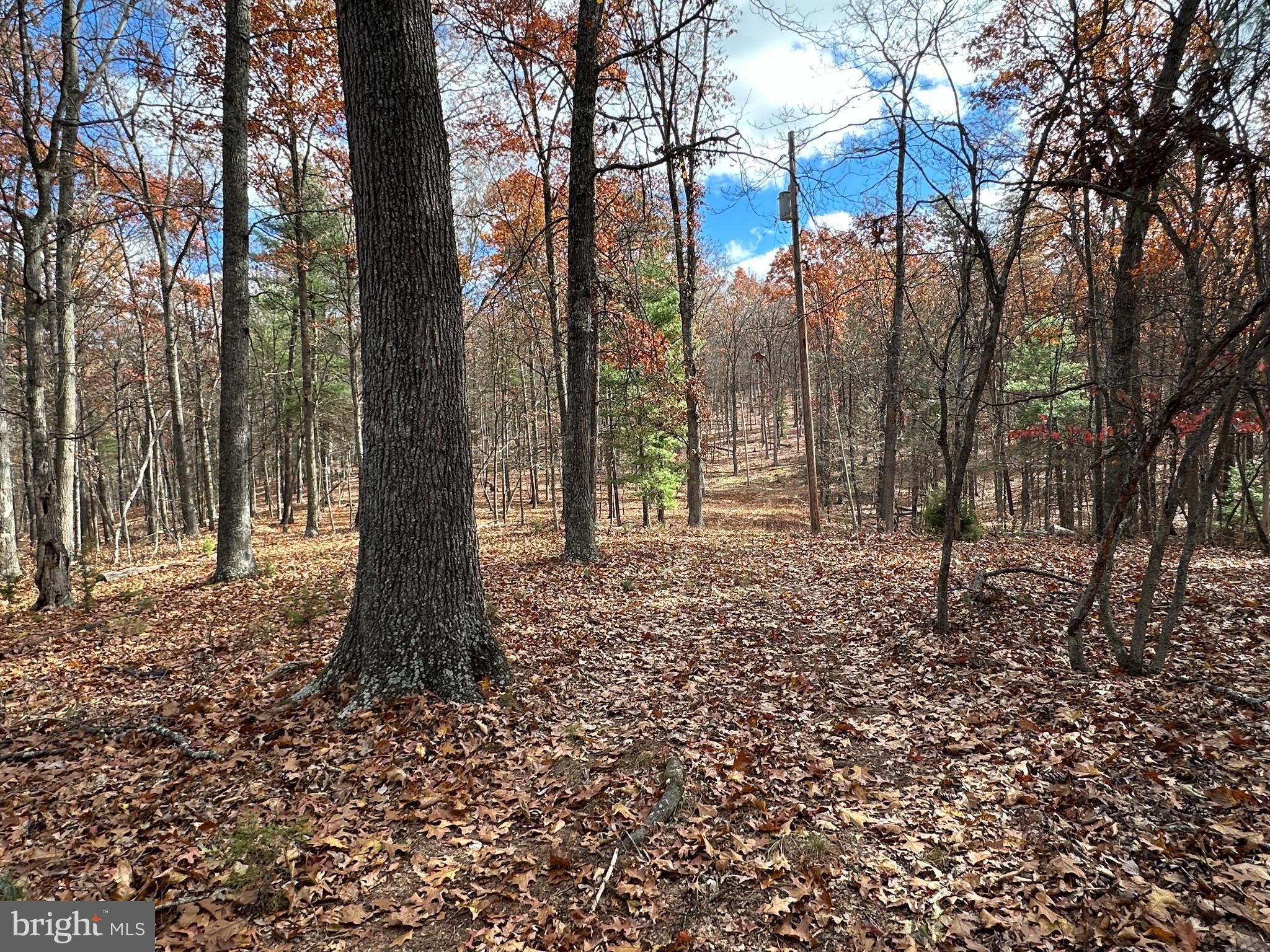 CACAPON MOUNTAIN RETREAT - Land