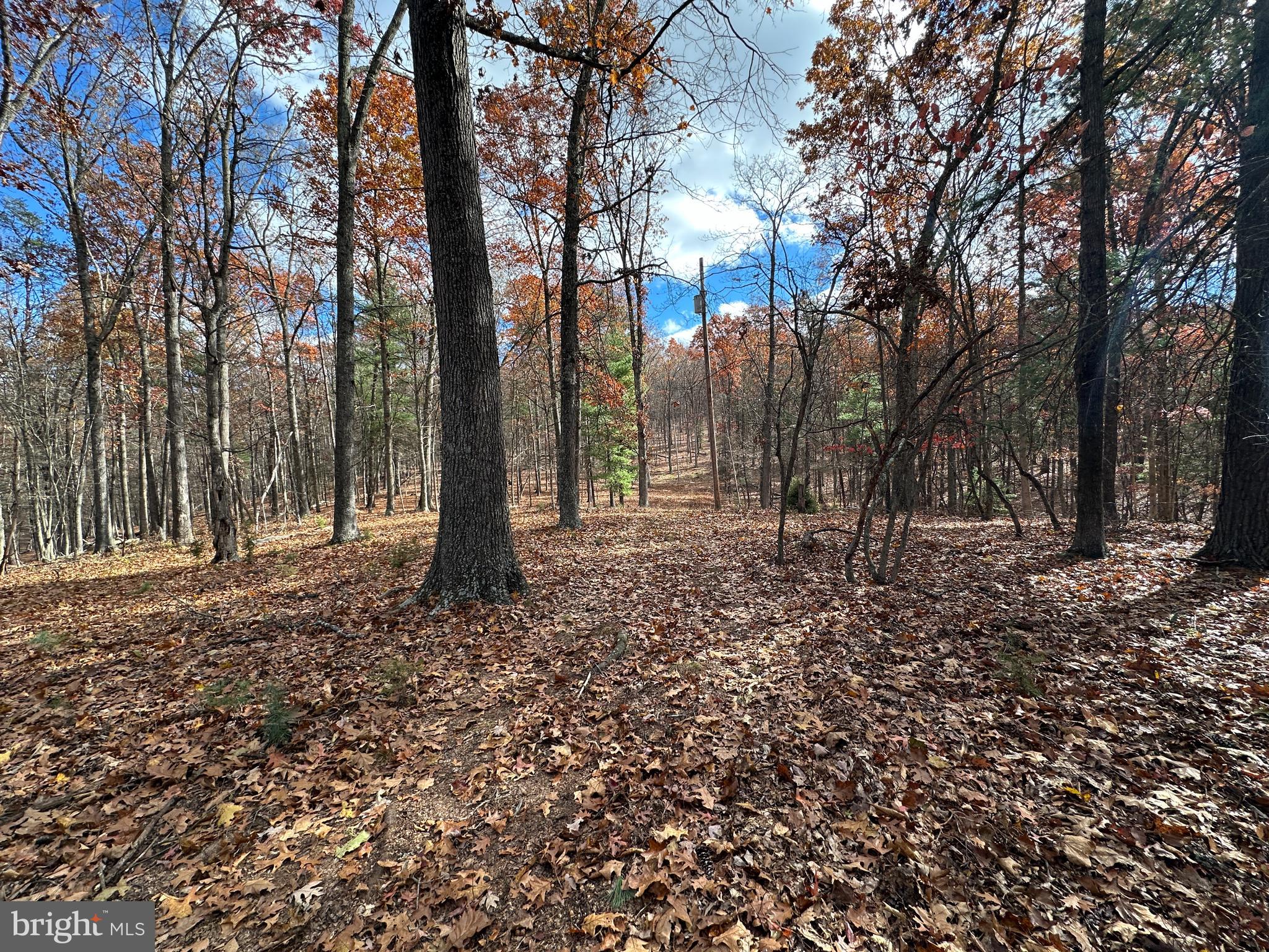 CACAPON MOUNTAIN RETREAT - Land