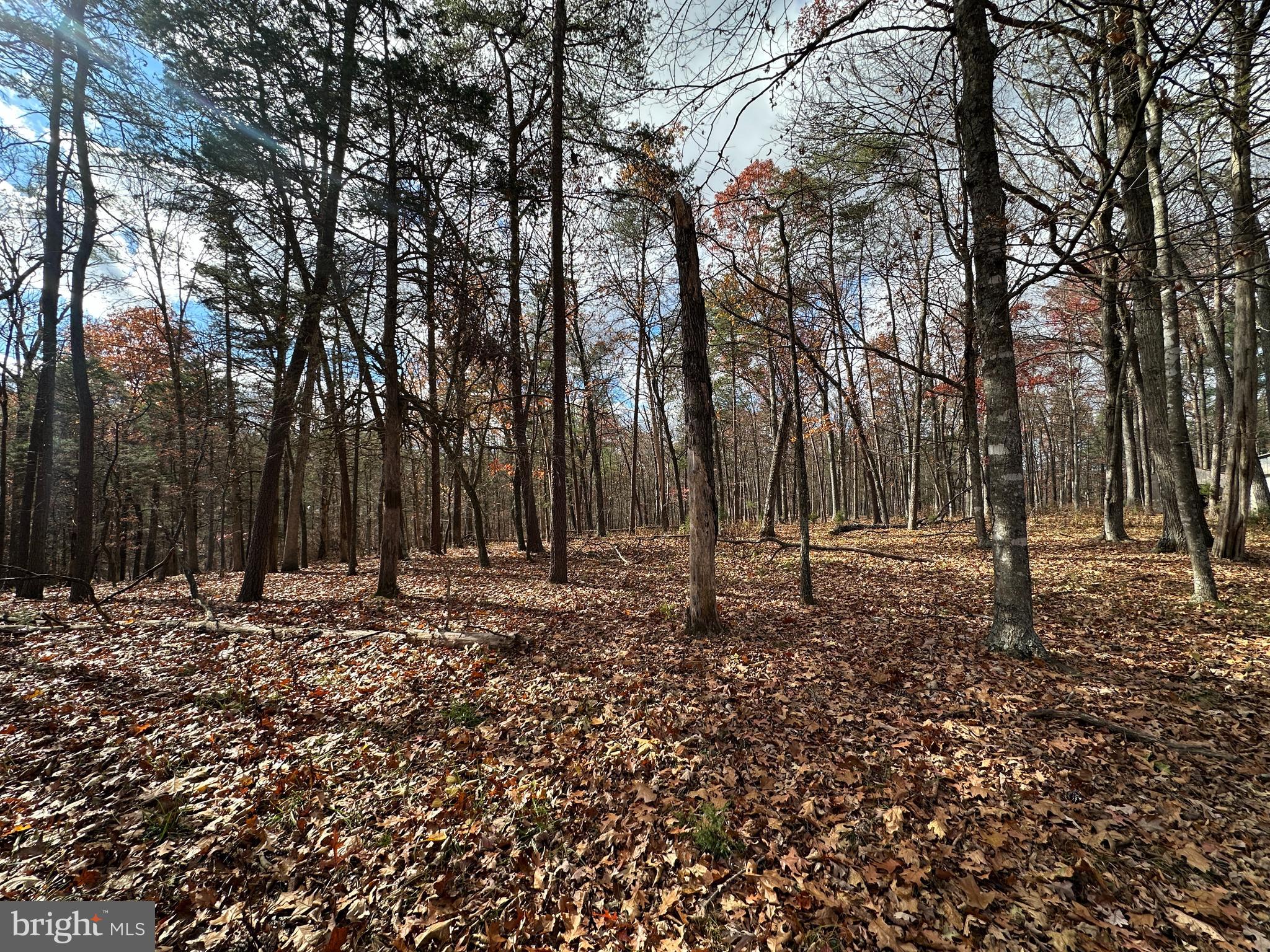 CACAPON MOUNTAIN RETREAT - Land