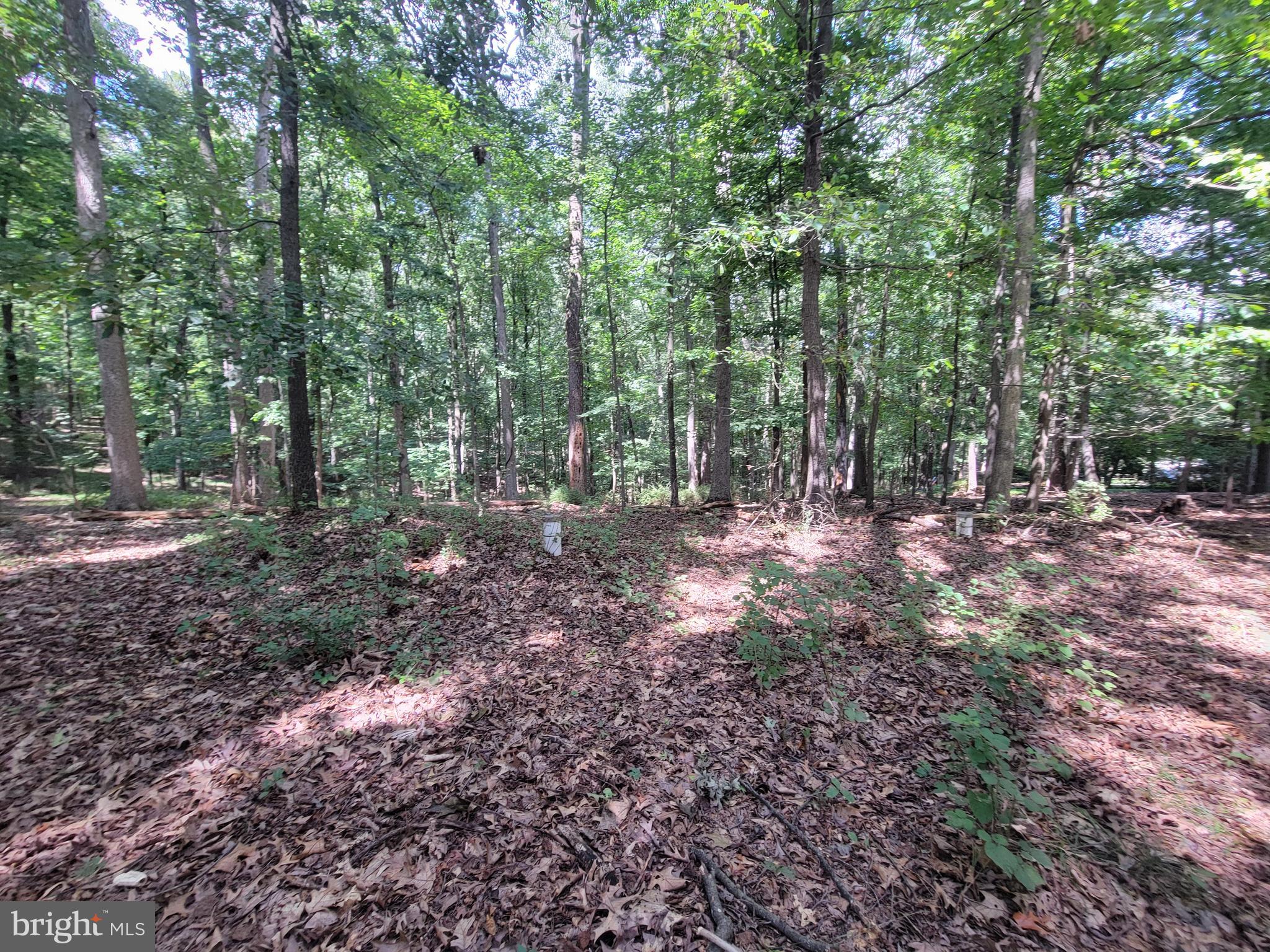 NEW PRICE ON THIS READY TO BUILD LOT! Build your Custom Dream Home on this beautiful 1.21 Acre lot off Falls Rd and Ivy Hill. This Lot backs to Oregon Ridge Park with 1,100+ Acres of lovely parkland w/ Walking Trails, Wildlife, & Other Recreational Activities including the Nature center and more. This Lot is ready for the builder to design and build your custom home with an ideal walkout basement. WELL YIELD IS CURRENT and PERC APPROVAL IS UPDATED. Two additional wells for geothermal heating are present. Plat and Topo drawings available upon request. Easy five minute drive to Hunt Valley Town Centre Shopping, Restaurants, Wegman's, St. Paul's and Maryvale Schools. Imagine waking up and relaxing on the back deck overlooking the trees and this gorgeous setting while enjoying your morning coffee and reading the paper or Instagram.