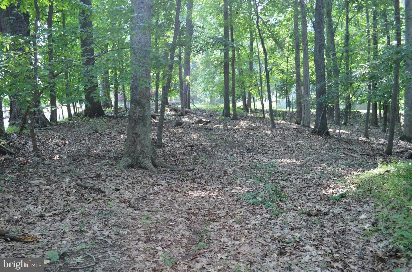 1306 IVY HILL ROAD