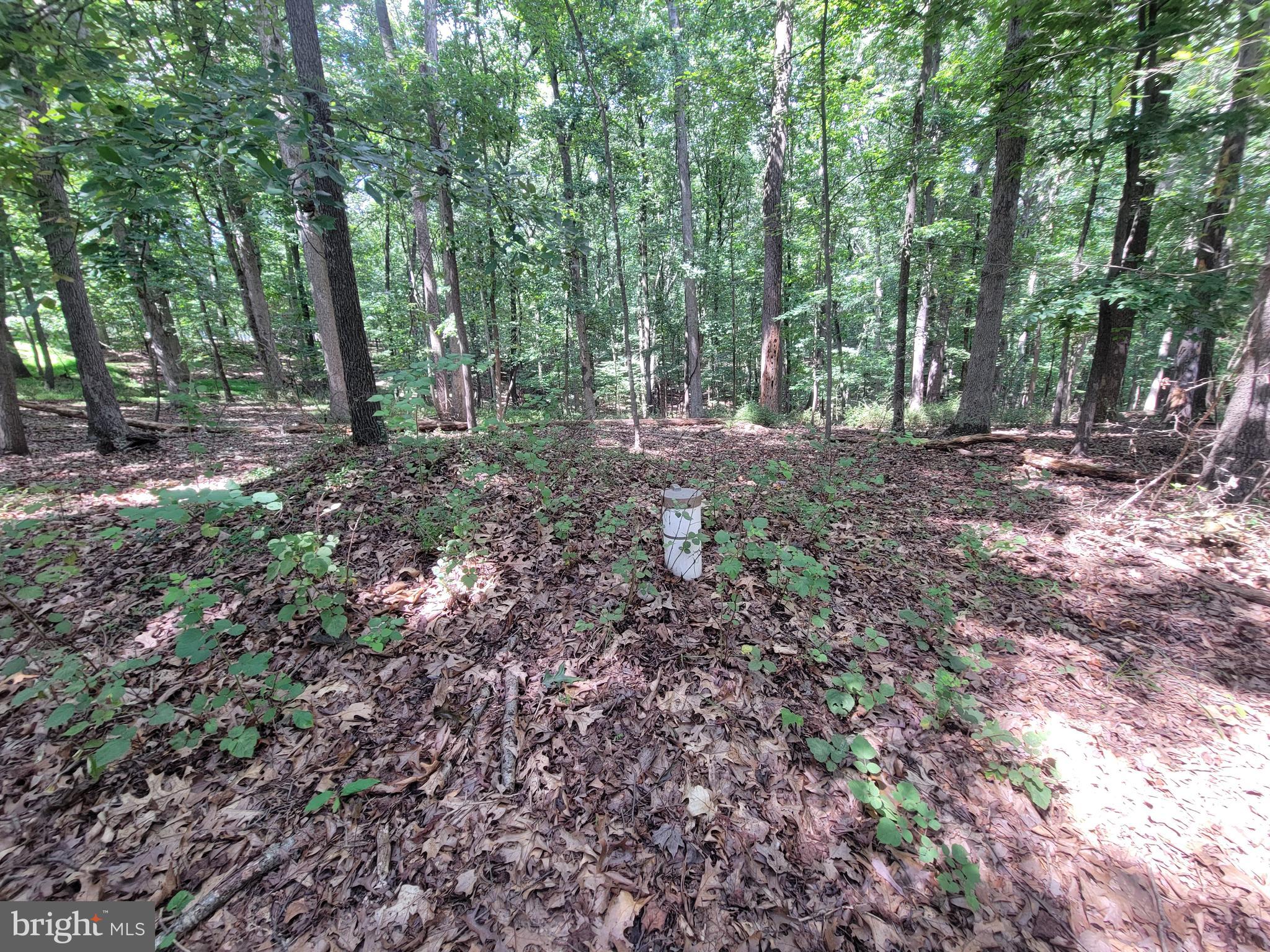 1306 IVY HILL ROAD