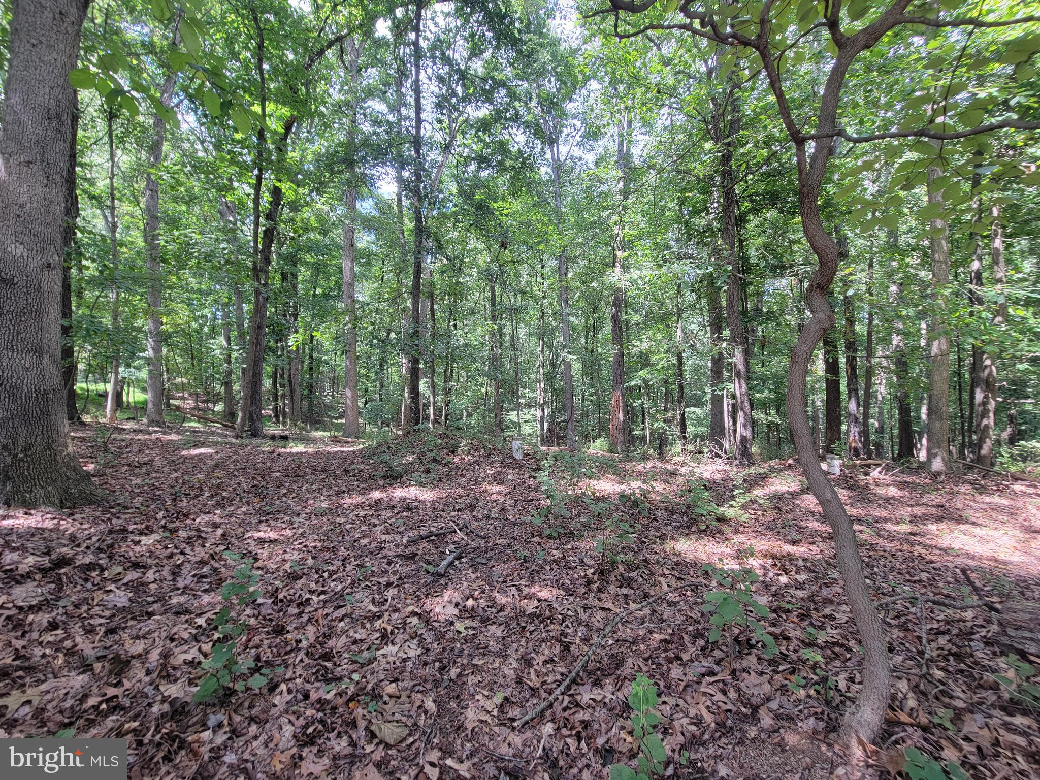 1306 IVY HILL ROAD
