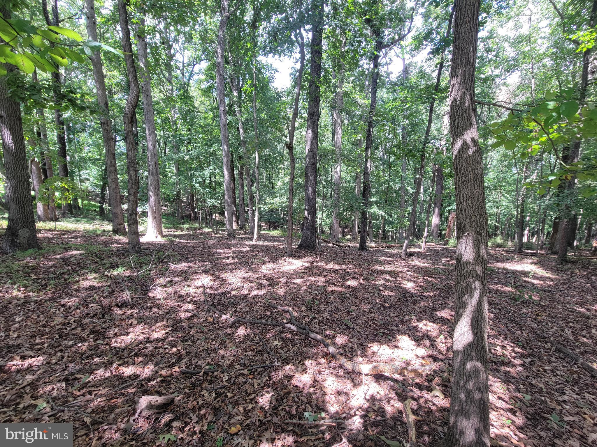 1306 IVY HILL ROAD