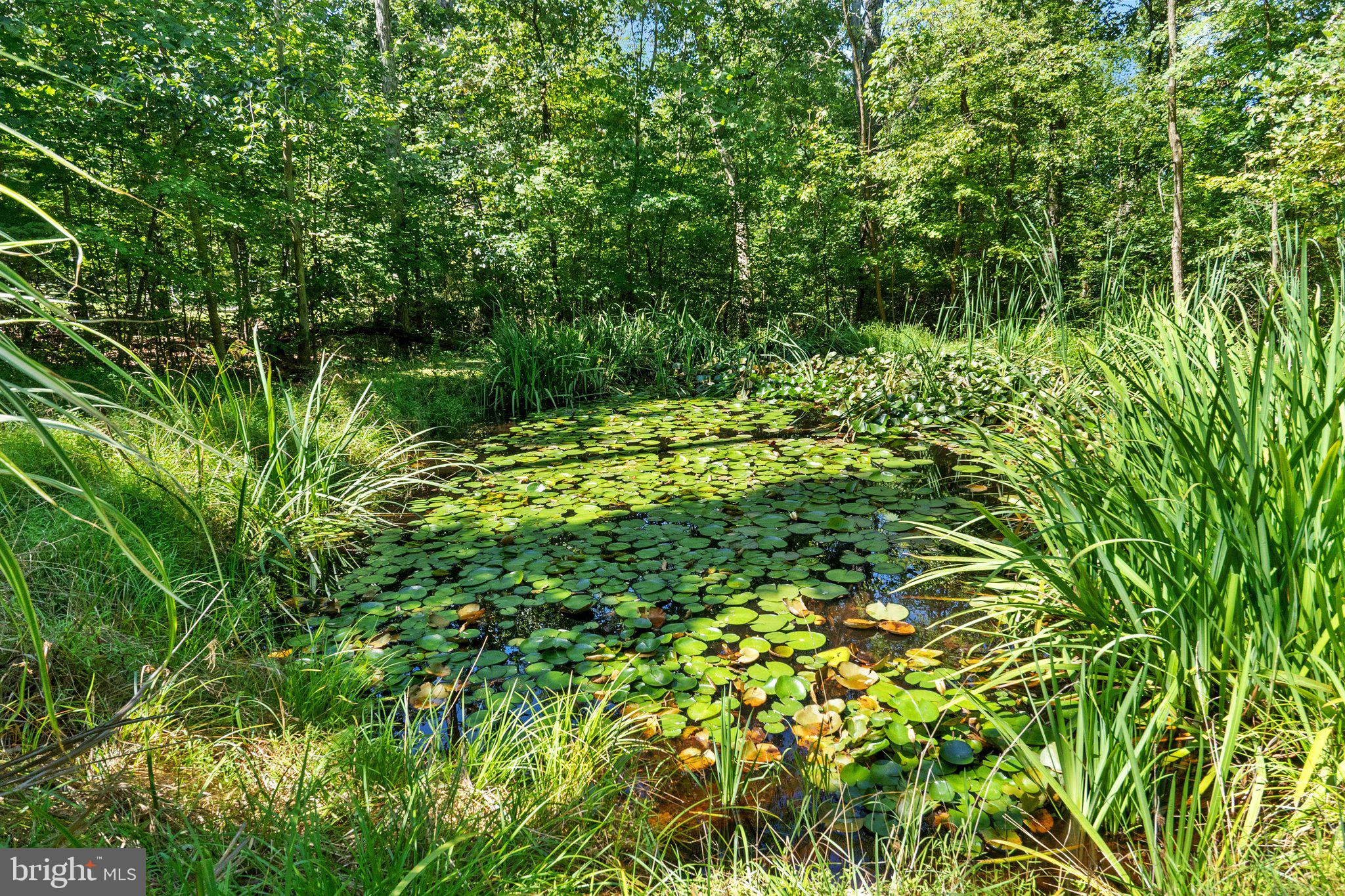 MAPLE HILLS - Residential