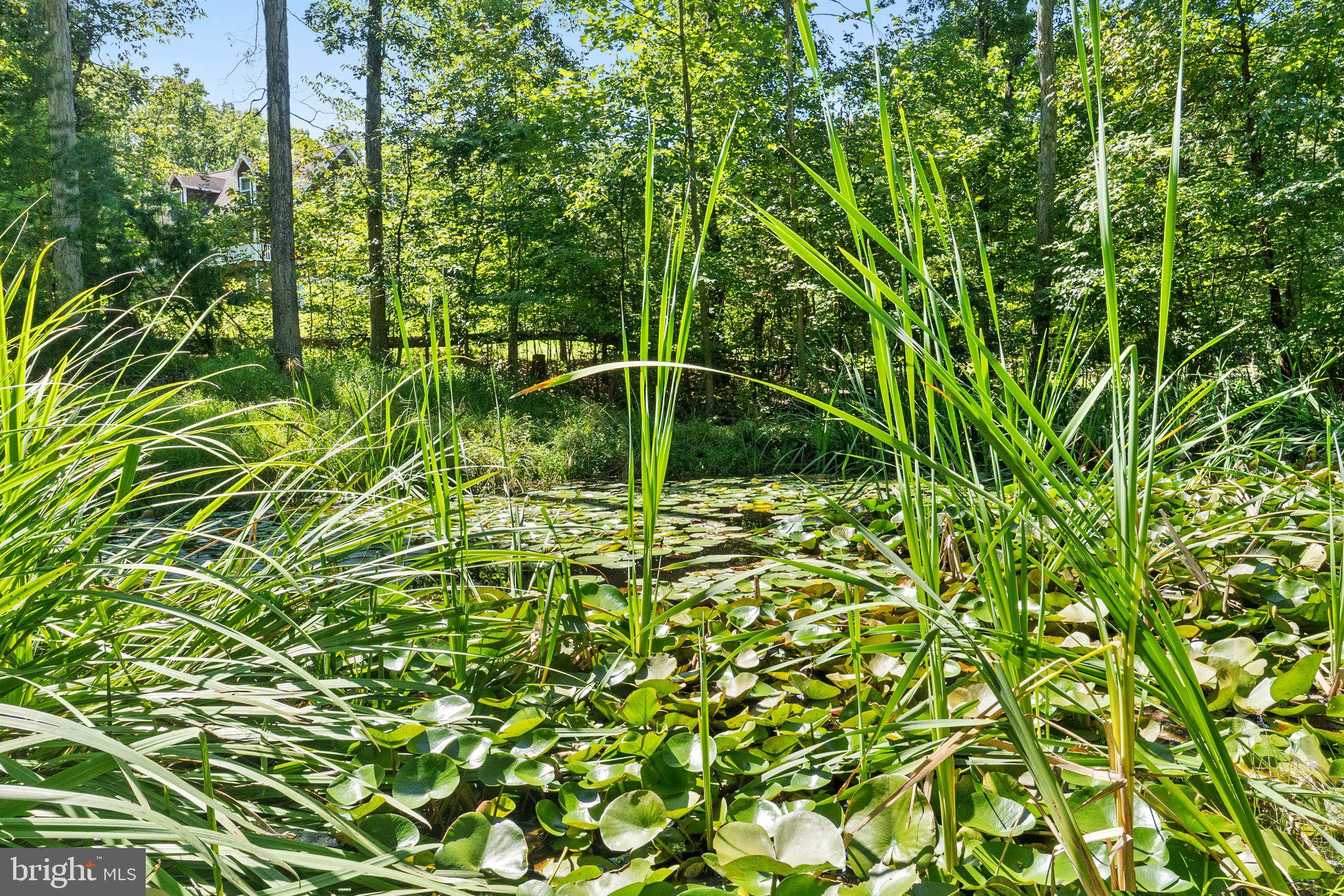 MAPLE HILLS - Residential