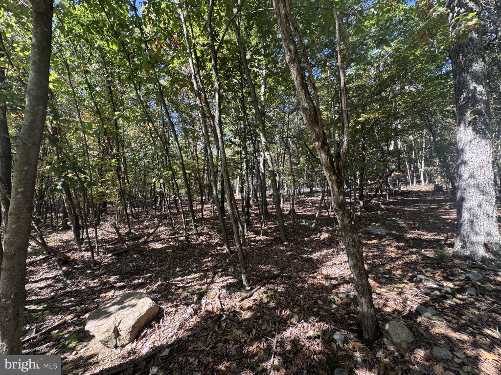 Photo of Lot 13 Parkside Dr., BERKELEY SPRINGS, WV 25411 (MLS # WVMO2006660)